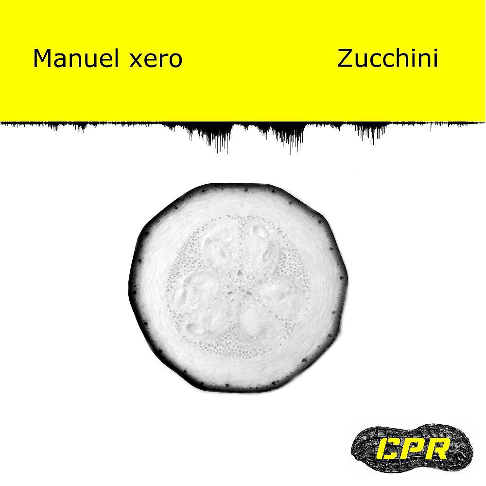 Постер альбома Zucchini (Original Mix)