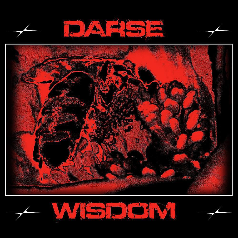 DARSE - Wisdom
