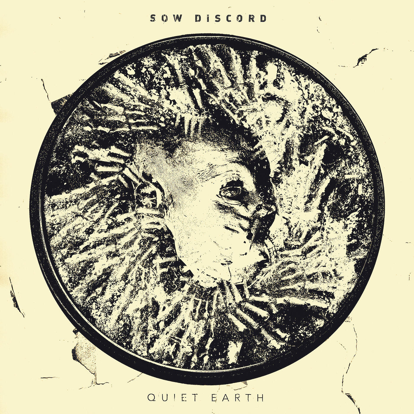 Sow Discord - The World Looks on With Pity and Scorn