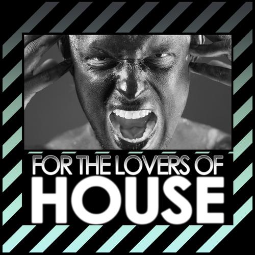 Постер альбома For the Lovers of House