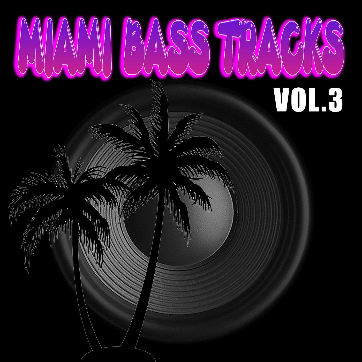 Постер альбома Miami Bass Tracks Vol.3