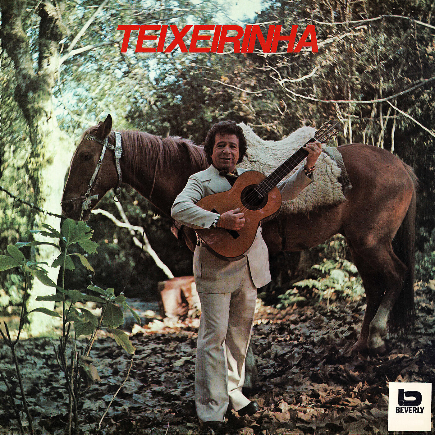 Teixeirinha - Malandro Legal