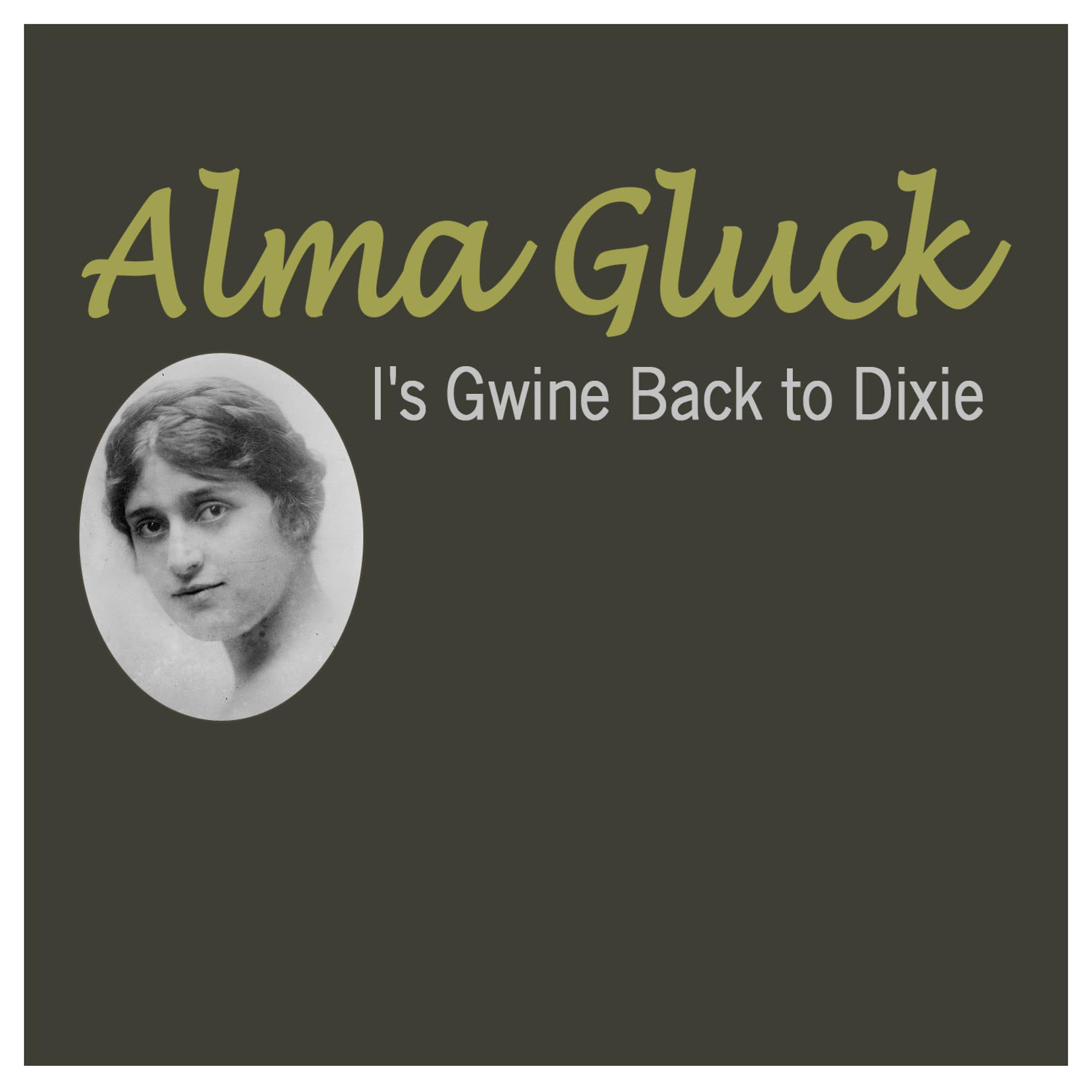 Постер альбома I'sa Gwine Back to Dixie