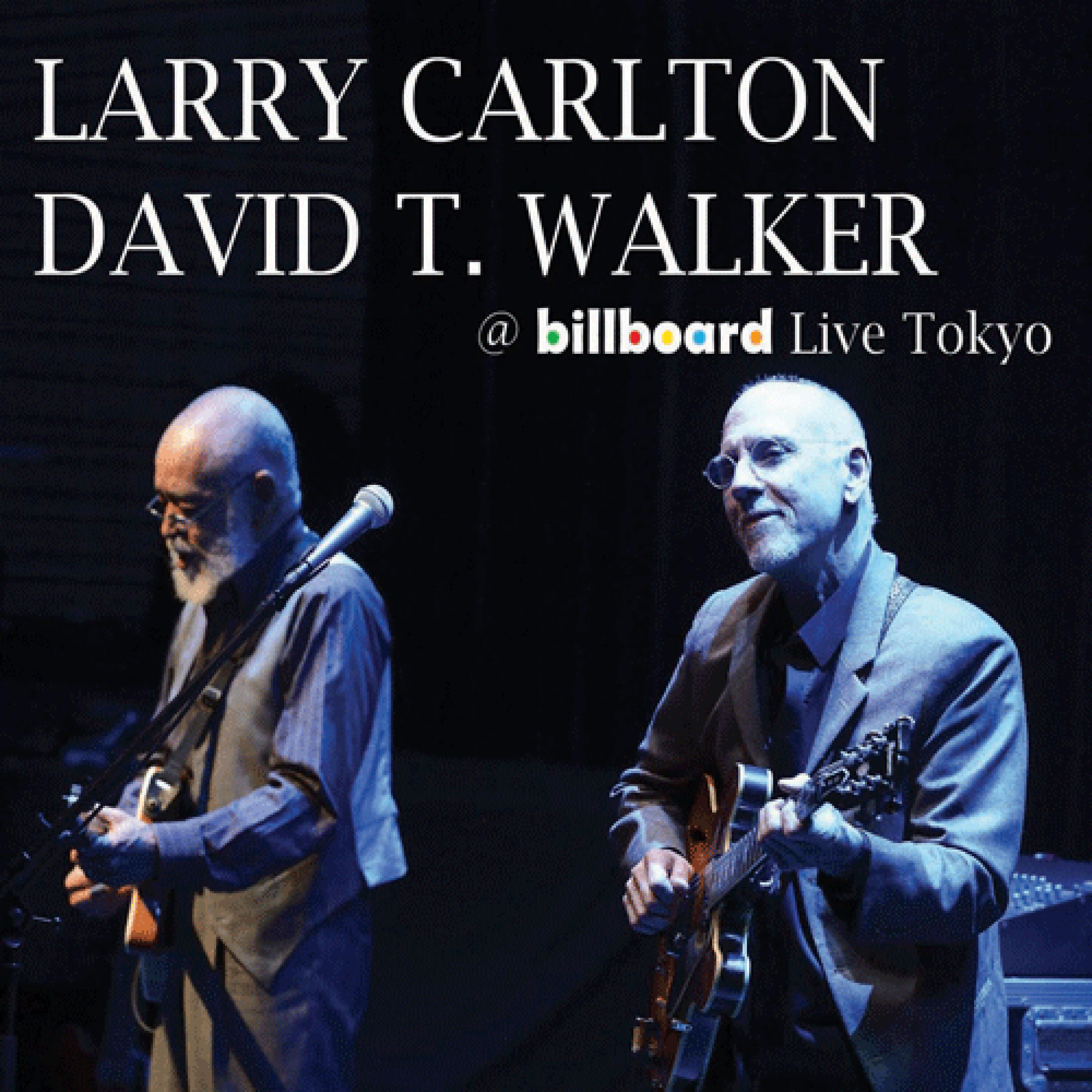 David T. Walker - A Place for Skipper (Live)