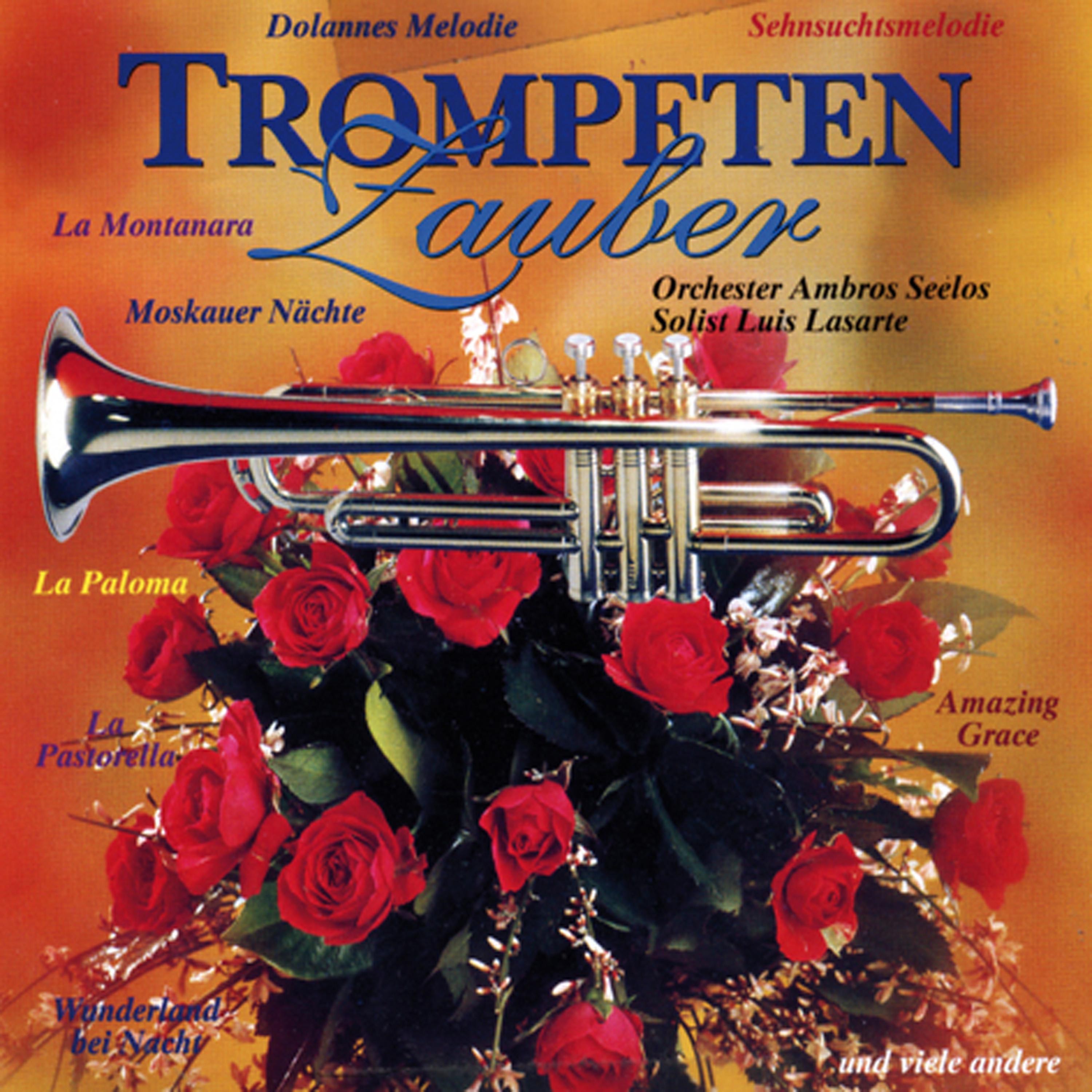 Постер альбома Trompetenzauber