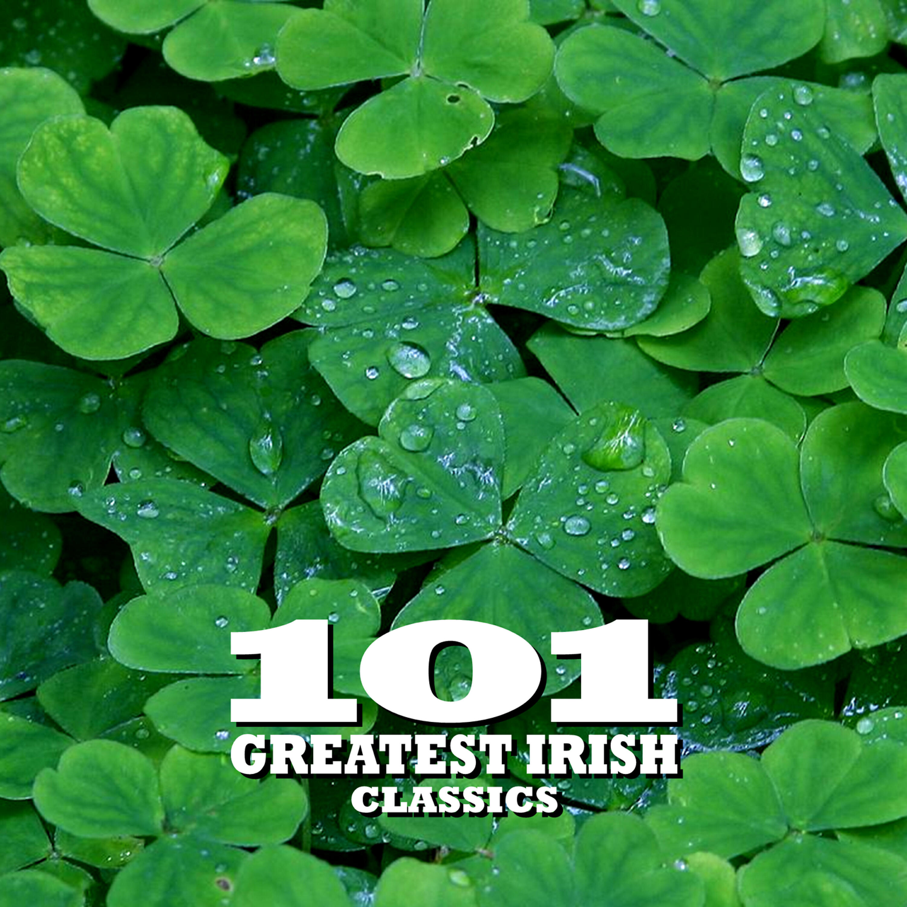 Barnbrack - If You're Irish/ Bou O'Donaghue/ Hannaghan's Hooley