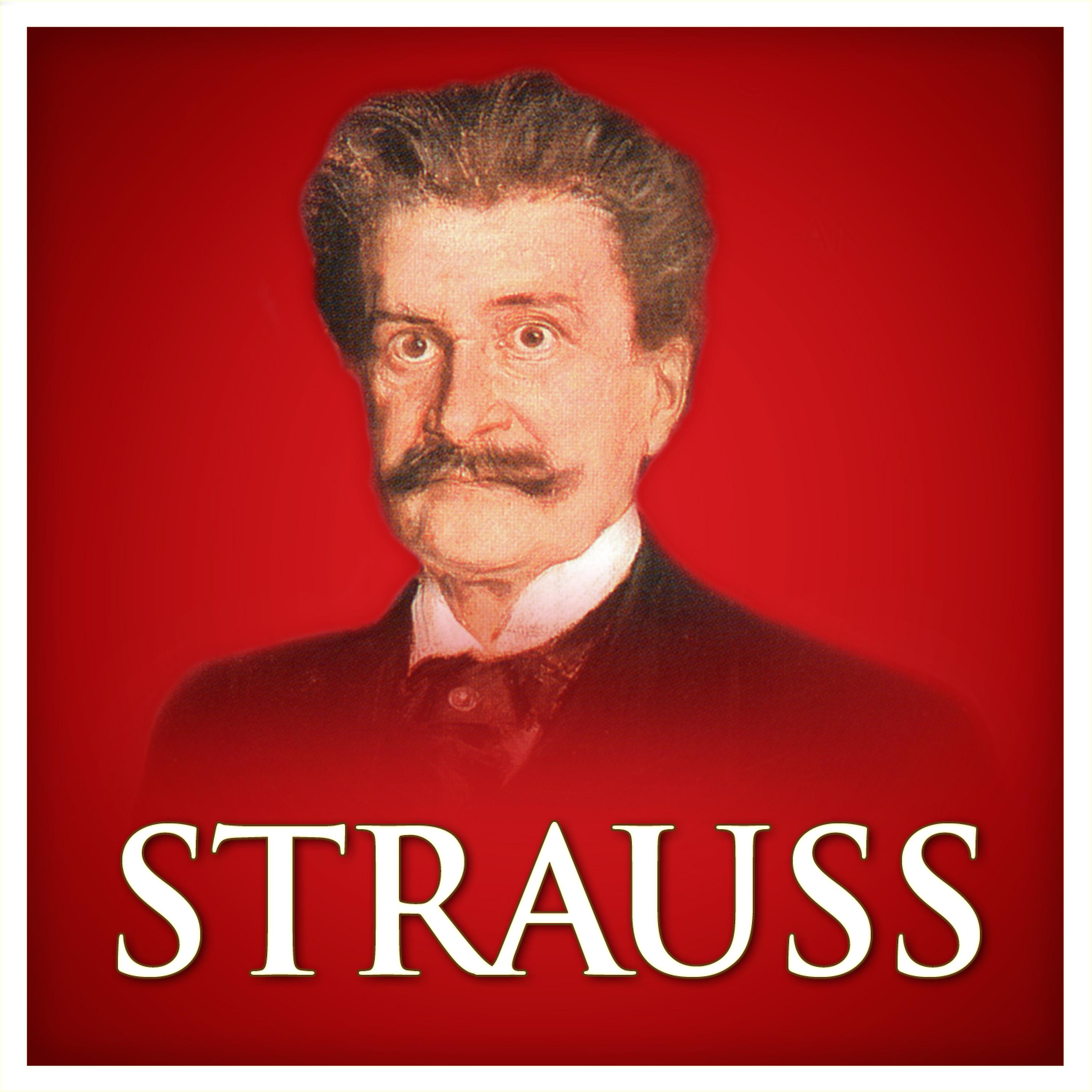 Постер альбома Strauss (Red Classics)