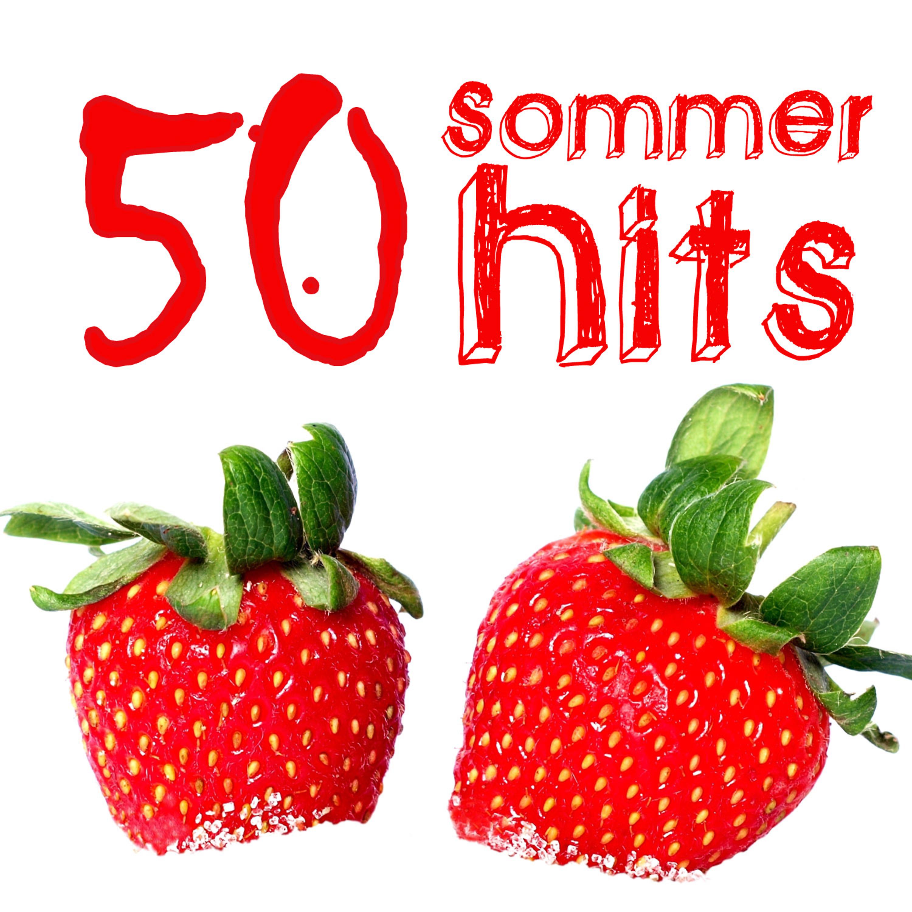 Постер альбома 50 Sommer Hits