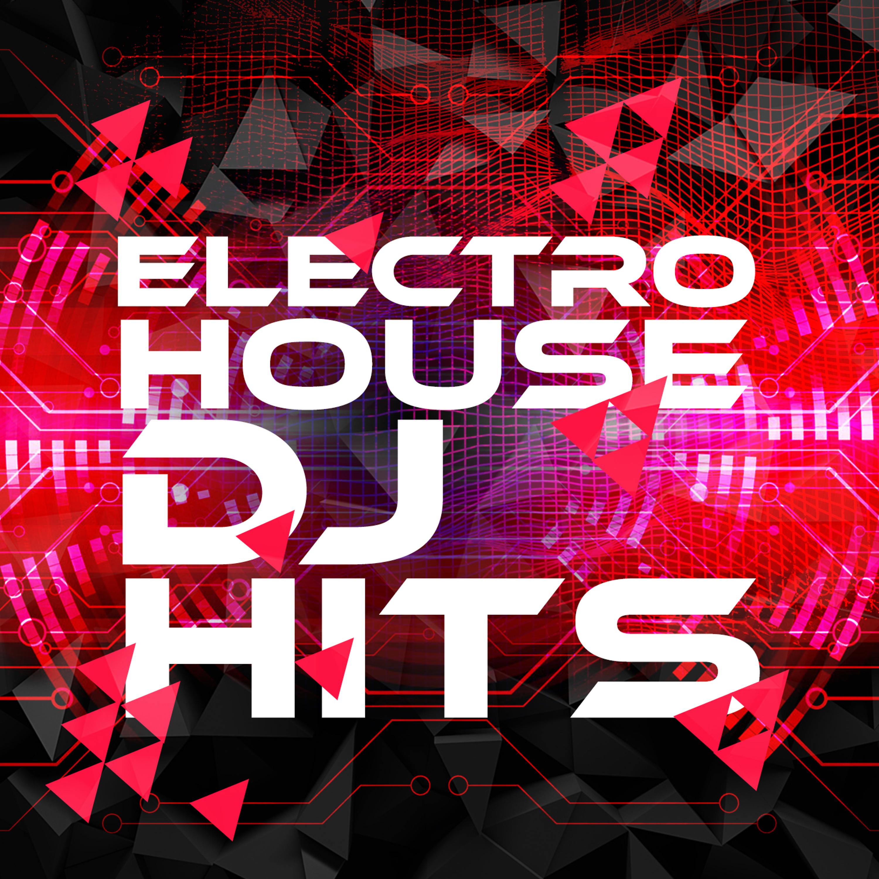 Постер альбома Electro House DJ Hits