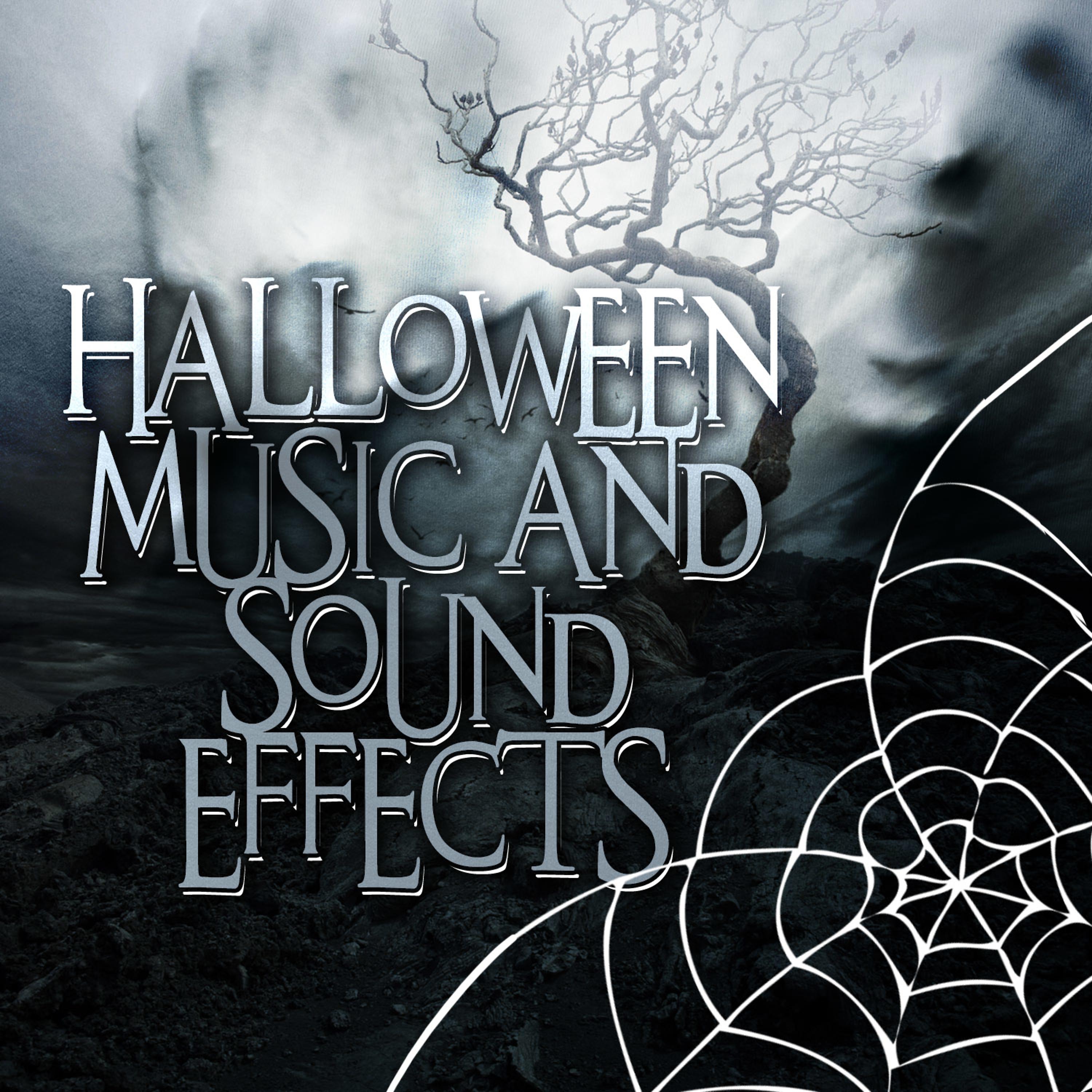 Постер альбома Halloween Music and Sound Effects
