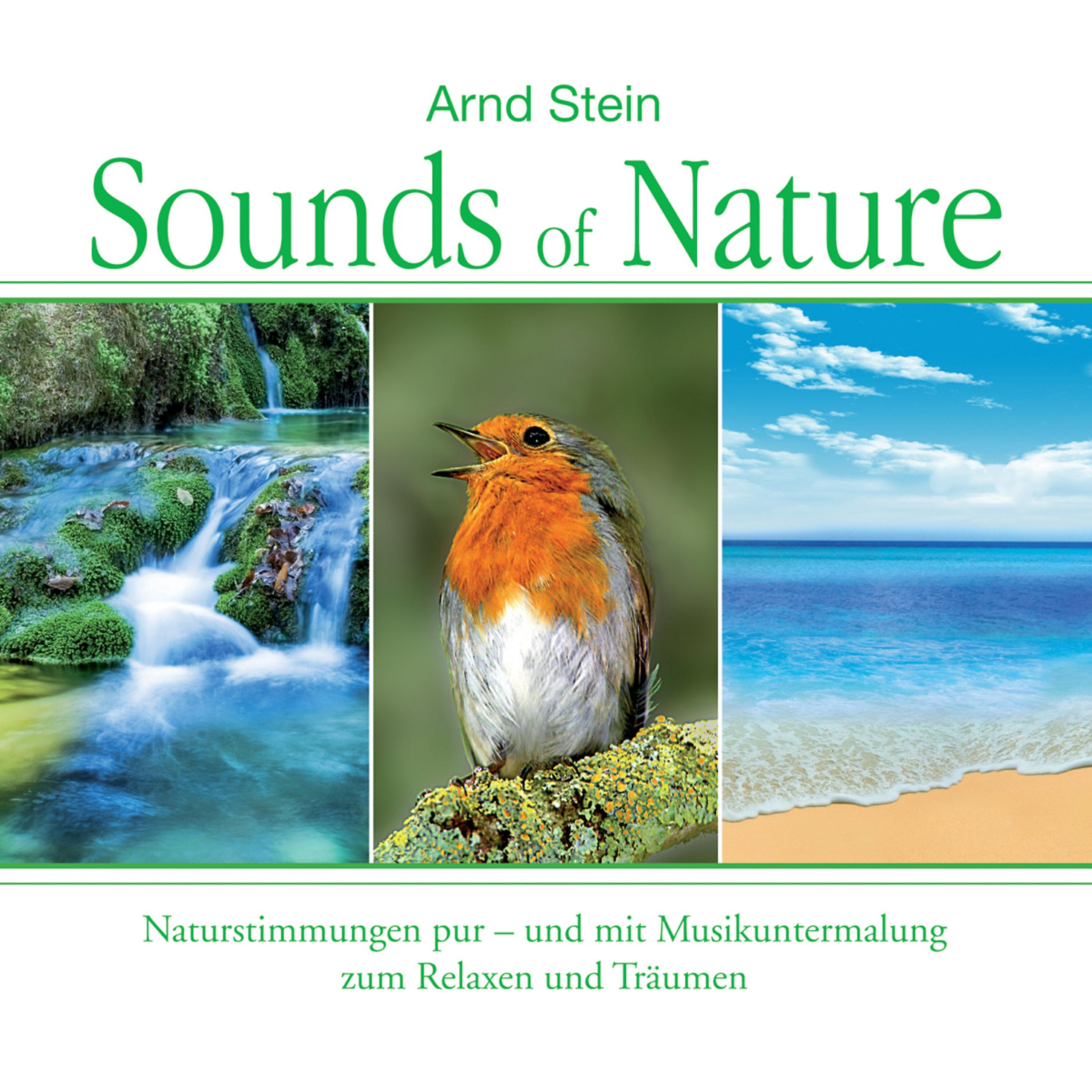 Dr. Arnd Stein - Leichte Brandung