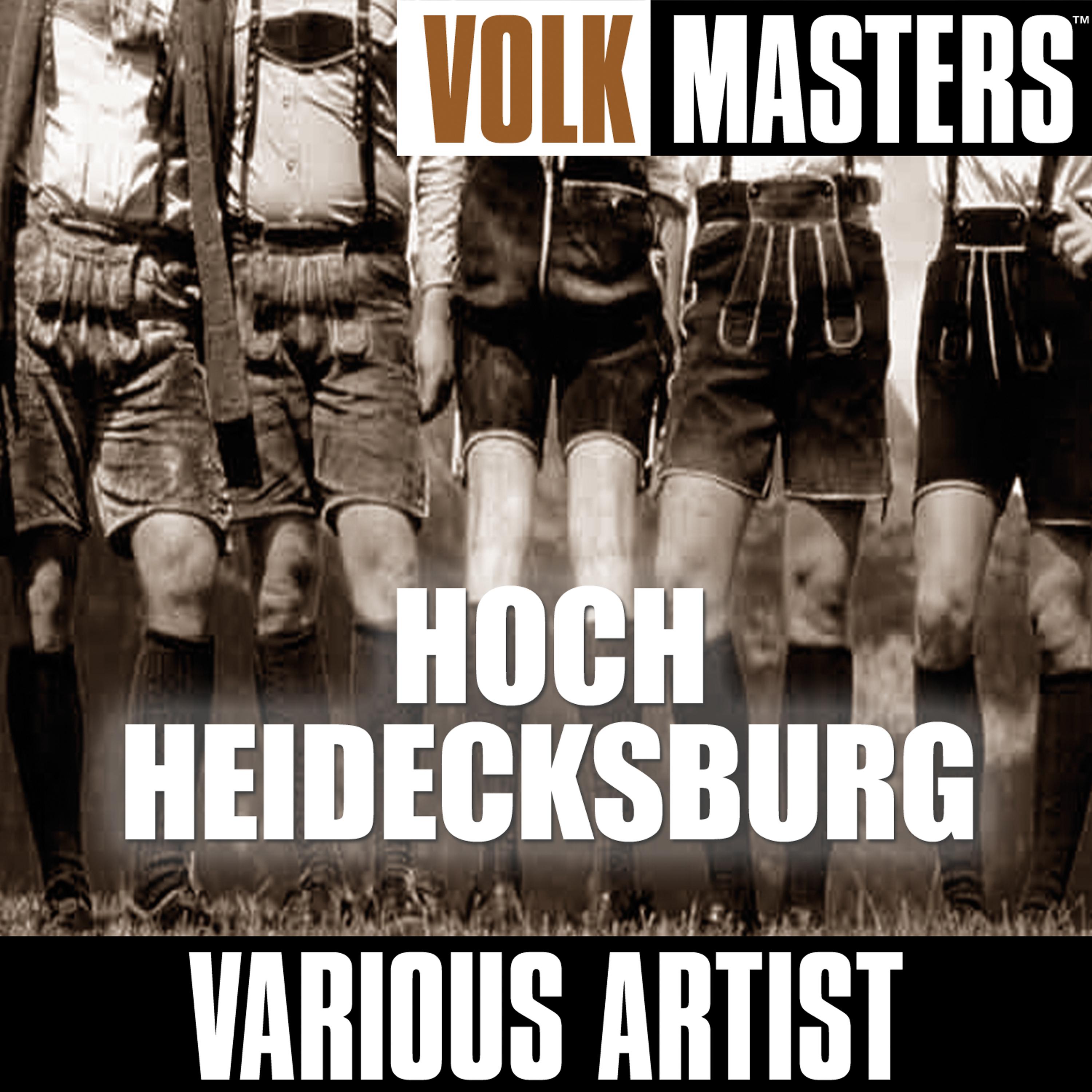 Постер альбома Volk Masters: Hoch Heidecksburg