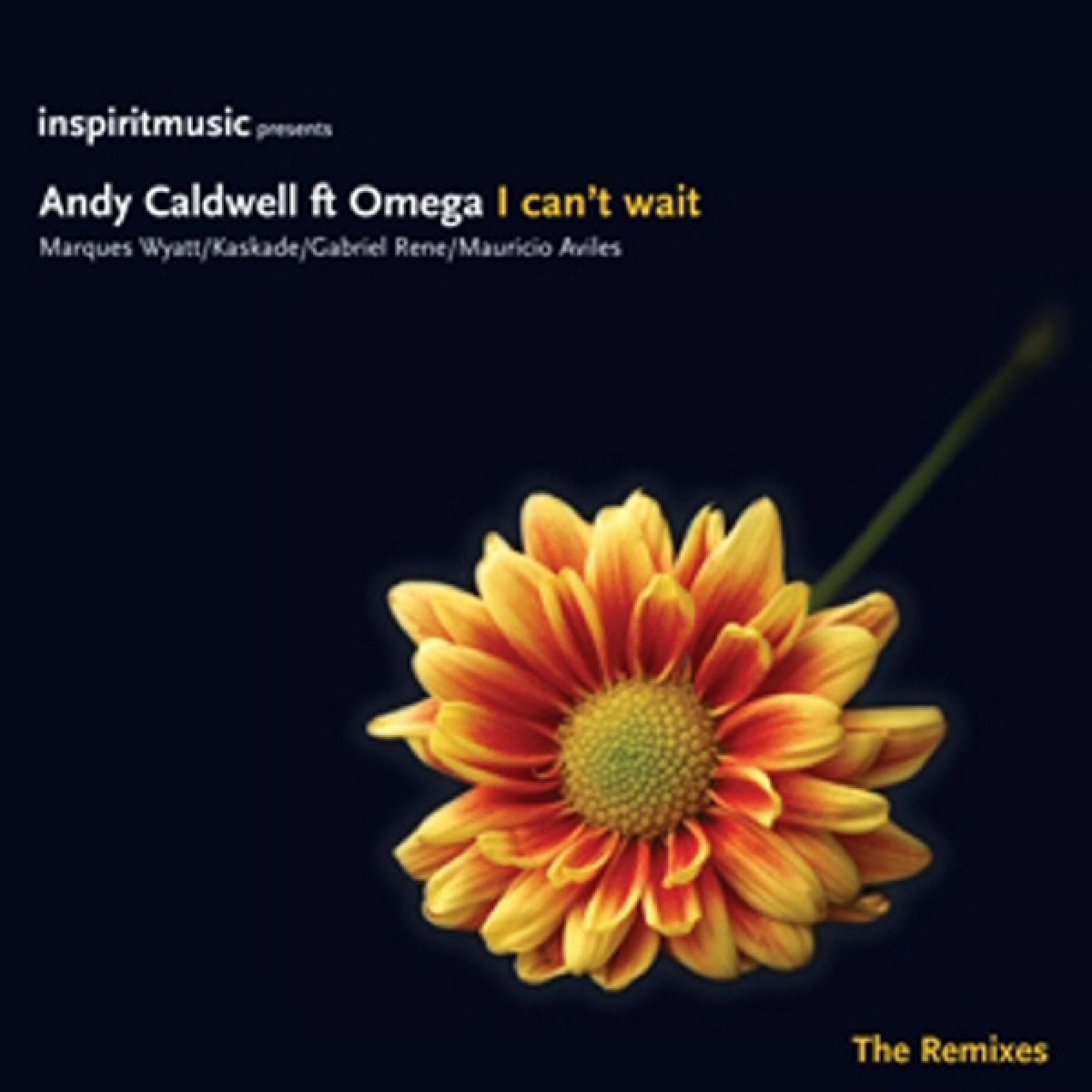 Andy Caldwell - I Can't Wait (Kaskade Mix)
