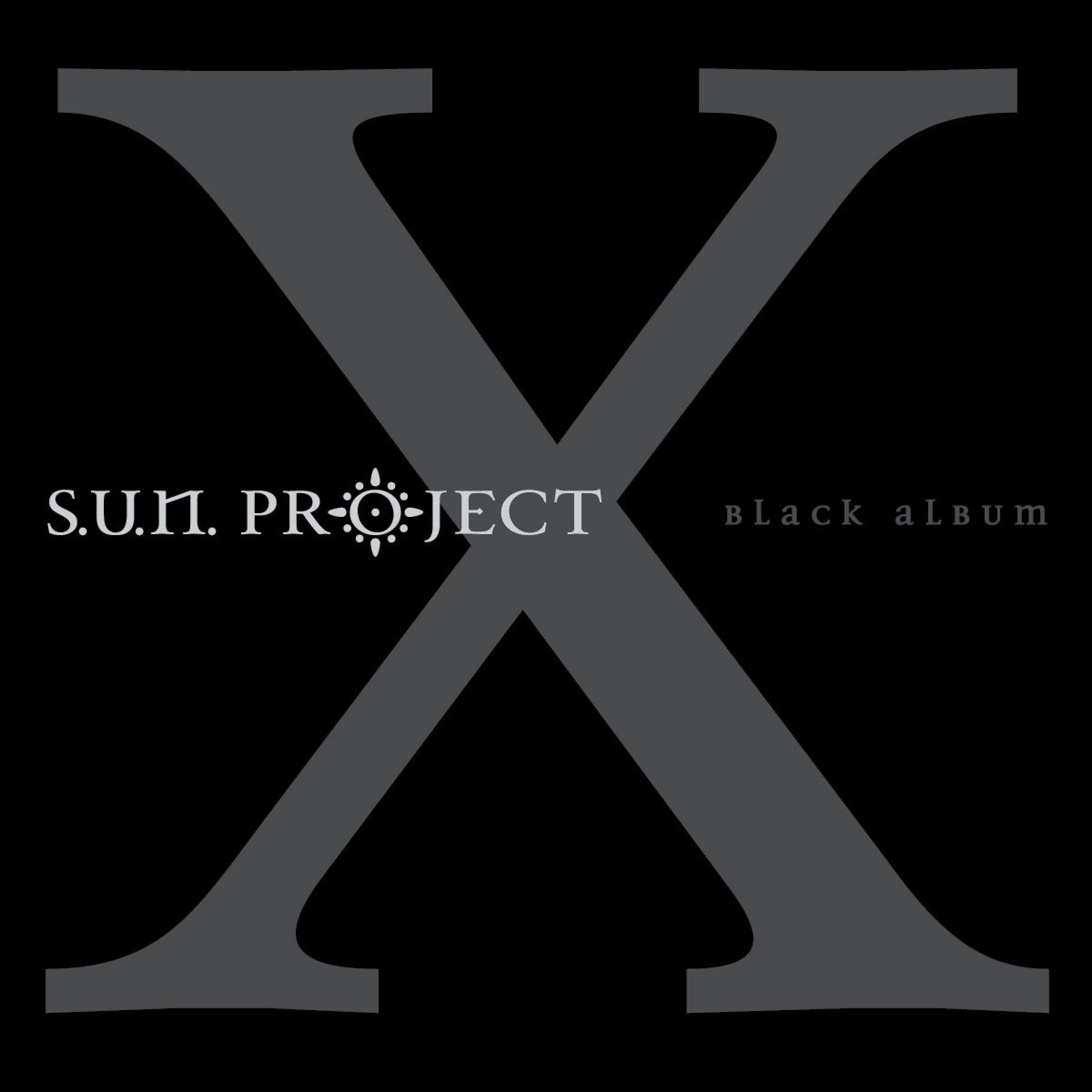 Постер альбома Black Album X