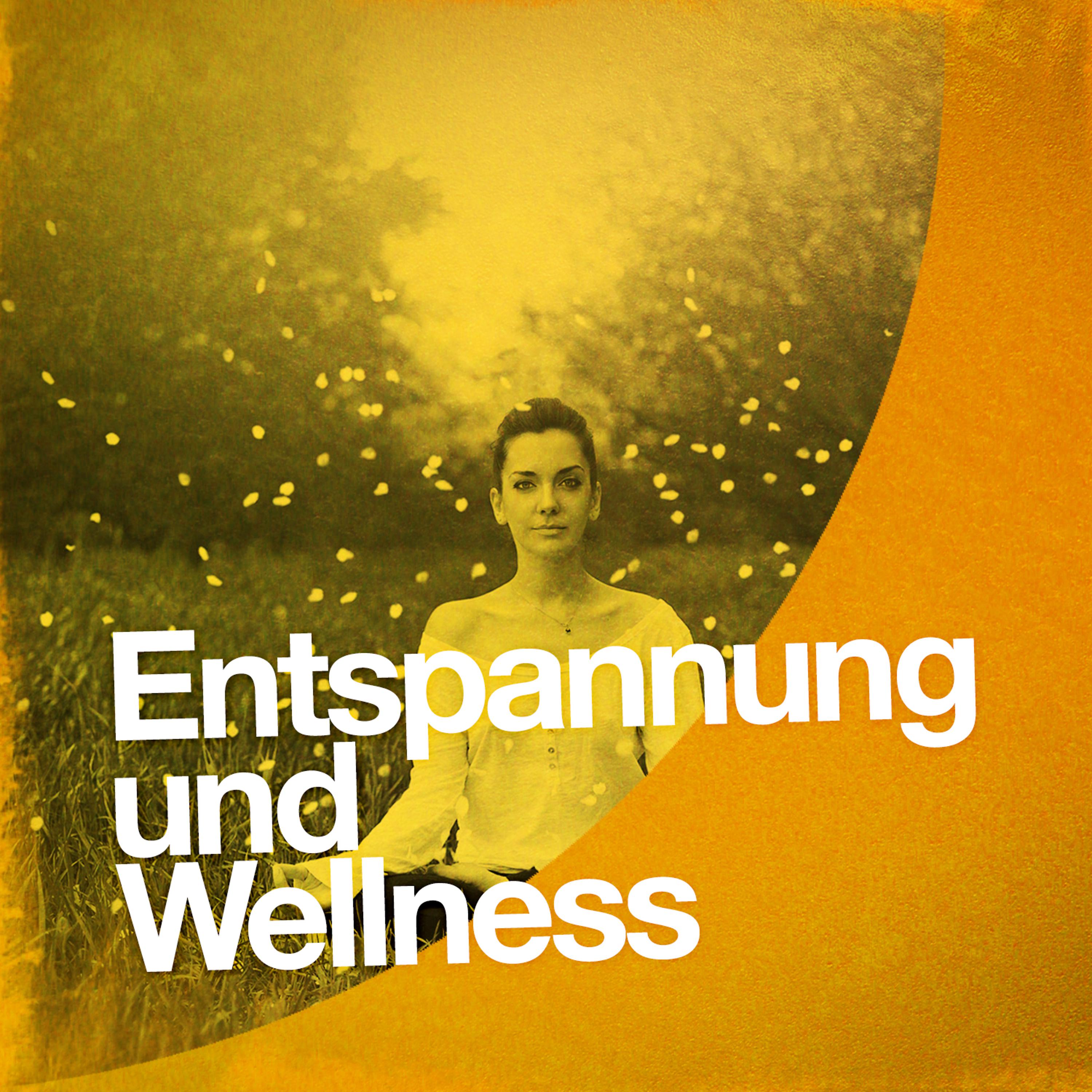 Постер альбома Entspannung Und Wellness