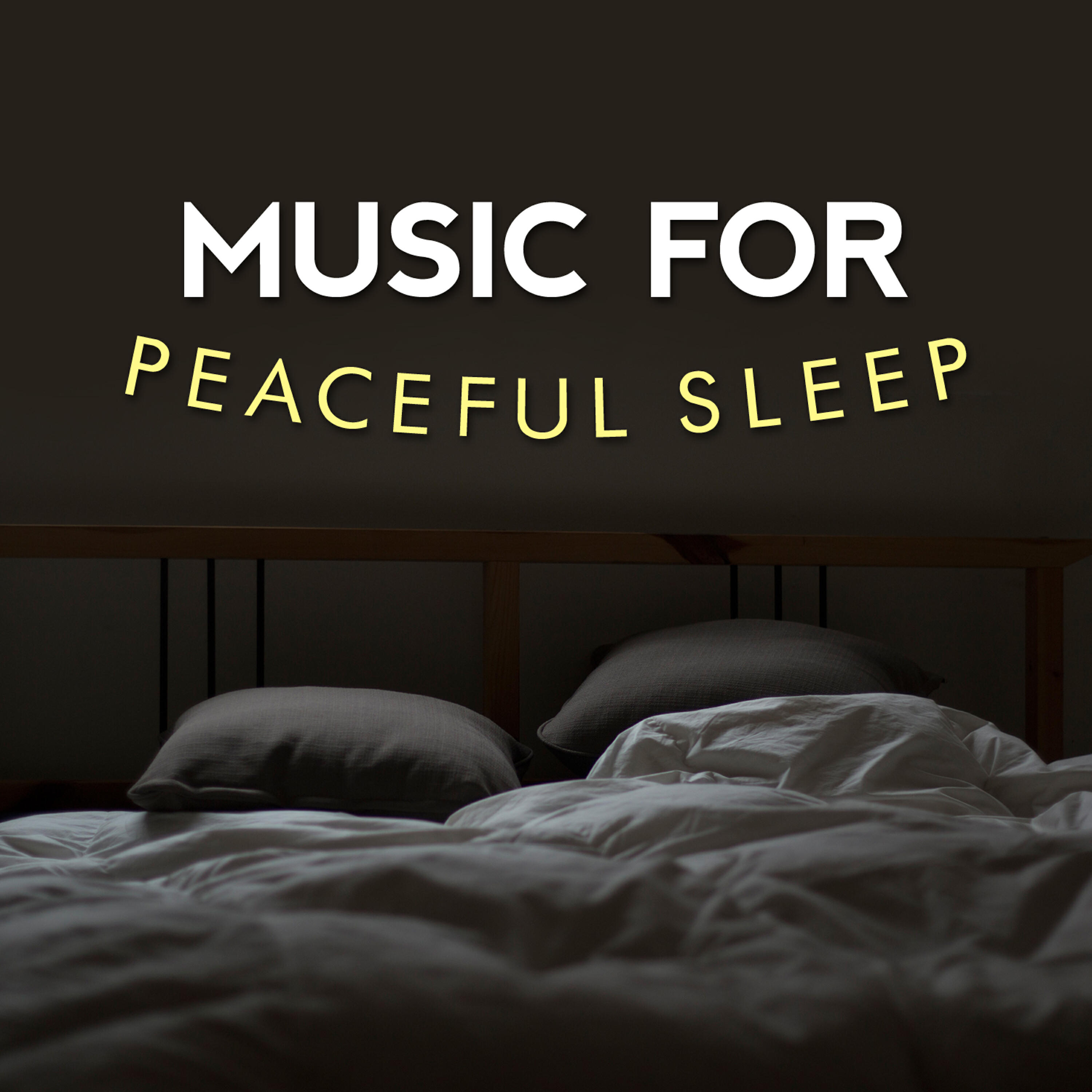 Music For Absolute Sleep - Nature of Existence