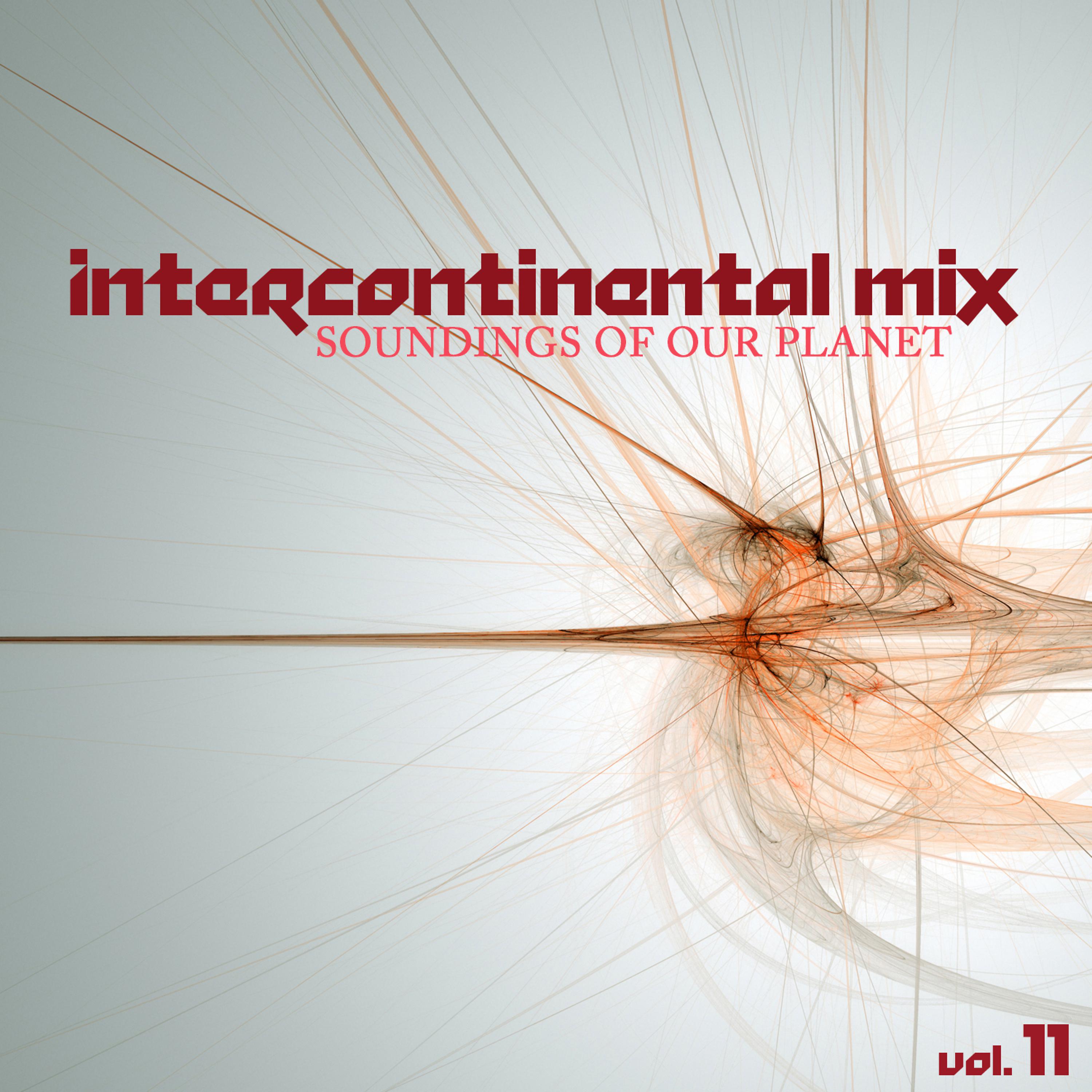 Постер альбома Intercontinental Mix: Soundings of Our Planet, Vol. 11