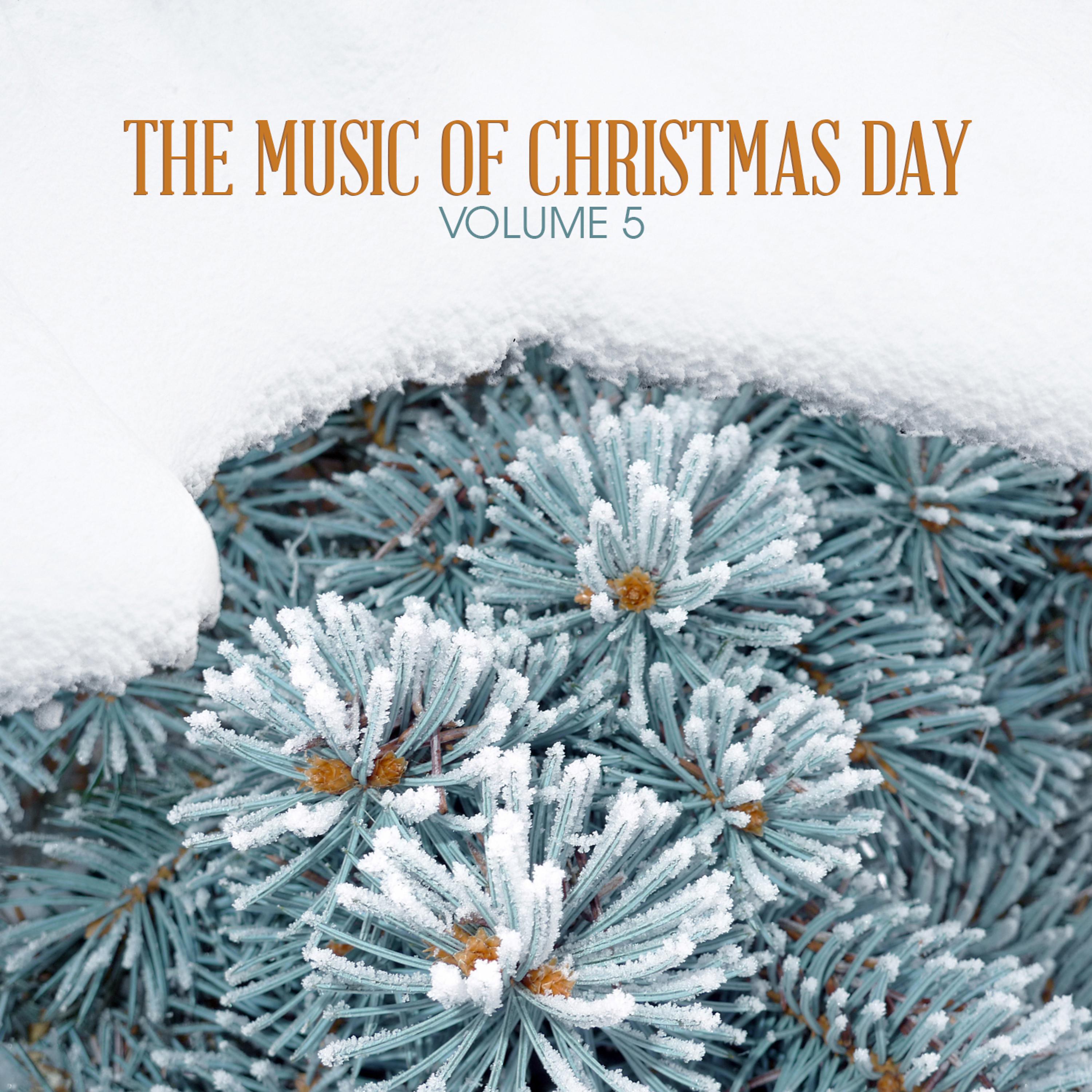 Постер альбома The Music of Christmas Day, Vol. 5