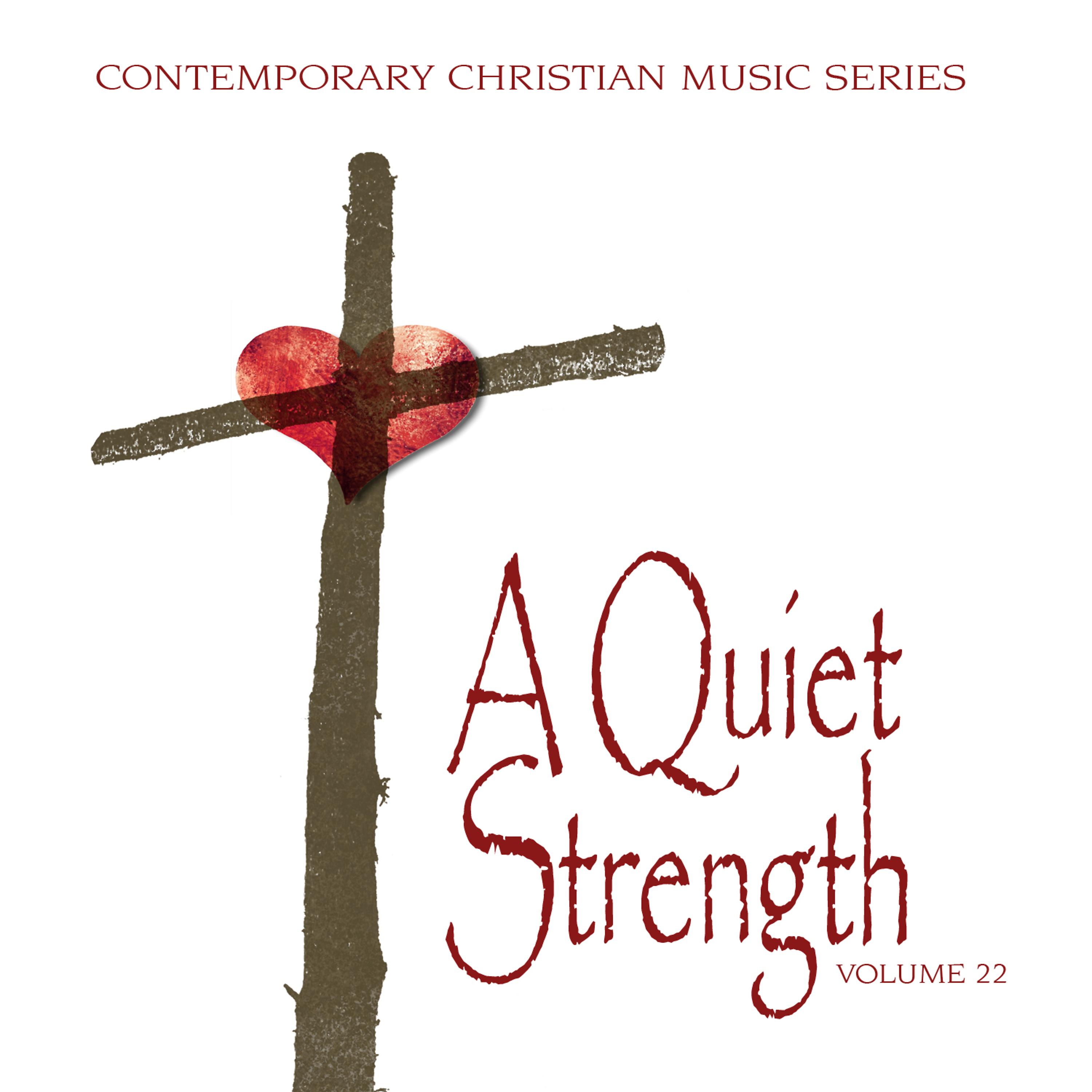Постер альбома Contemporary Christian Music Series: A Quiet Strength, Vol. 22