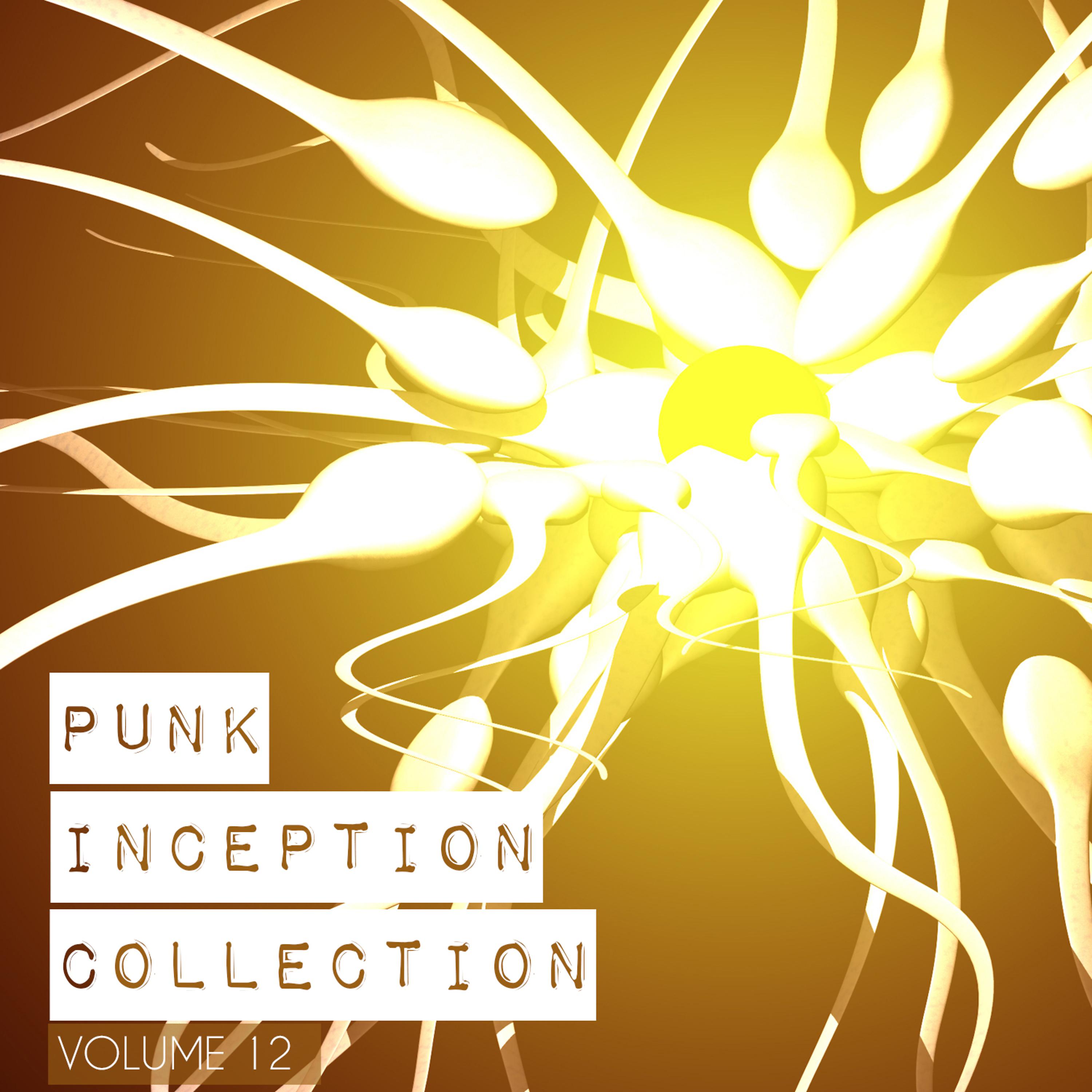 Постер альбома Punk Inception Collection, Vol. 12