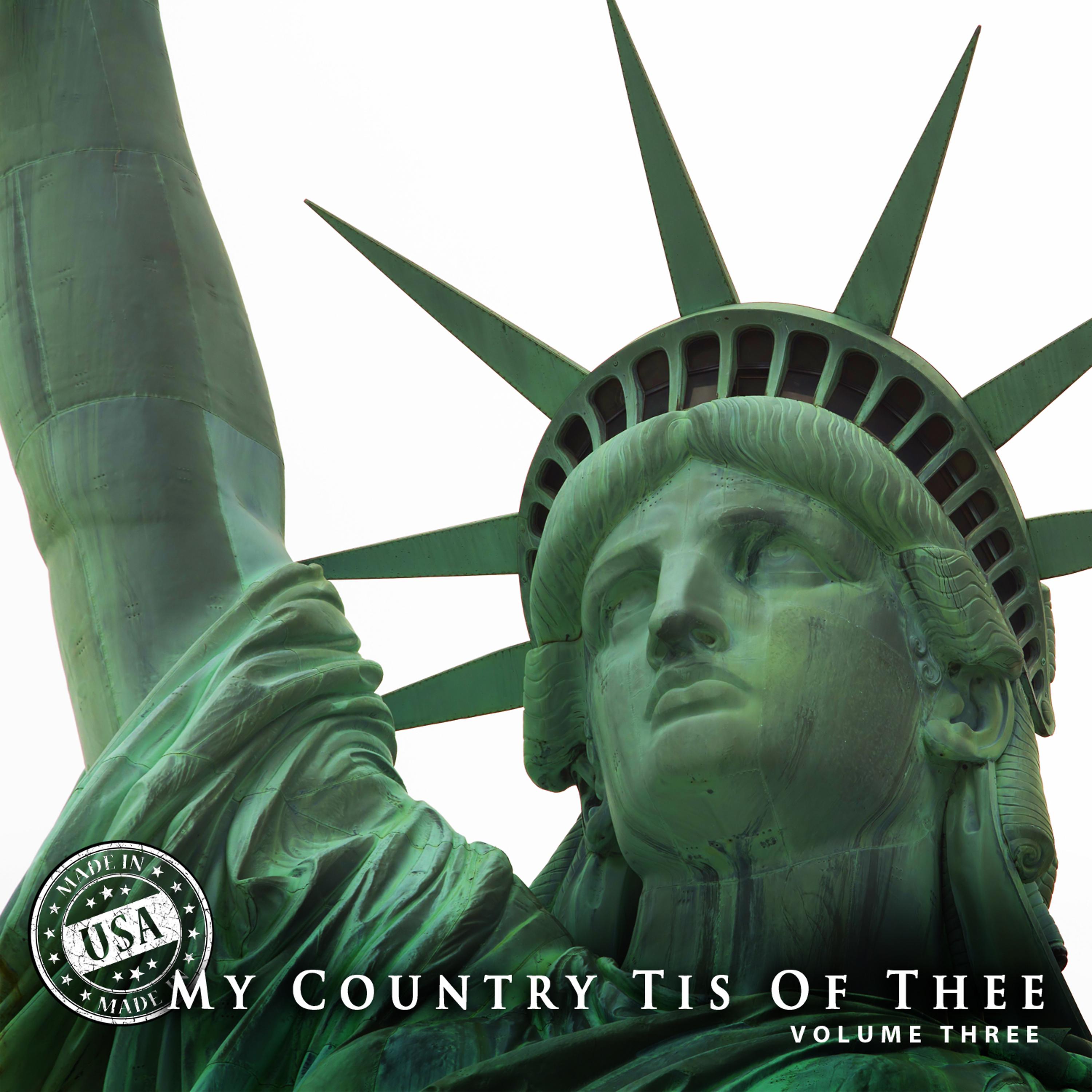 Постер альбома My Country 'Tis of Thee, Vol. 3
