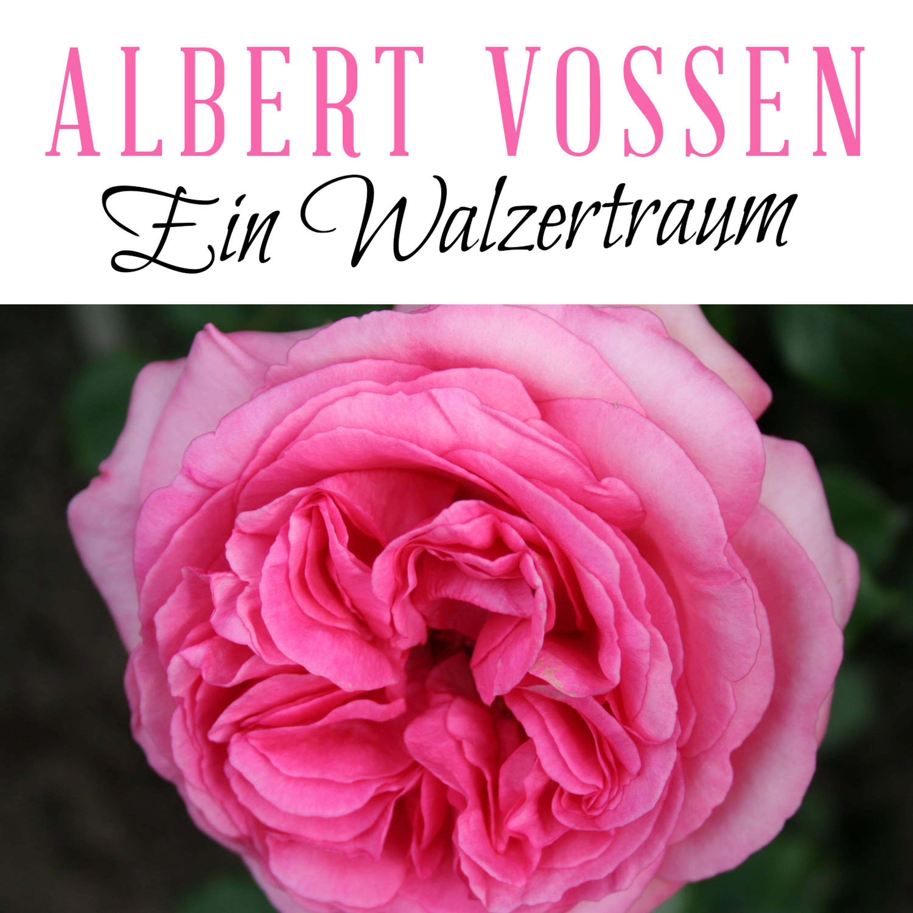 Постер альбома Ein Walzertraum