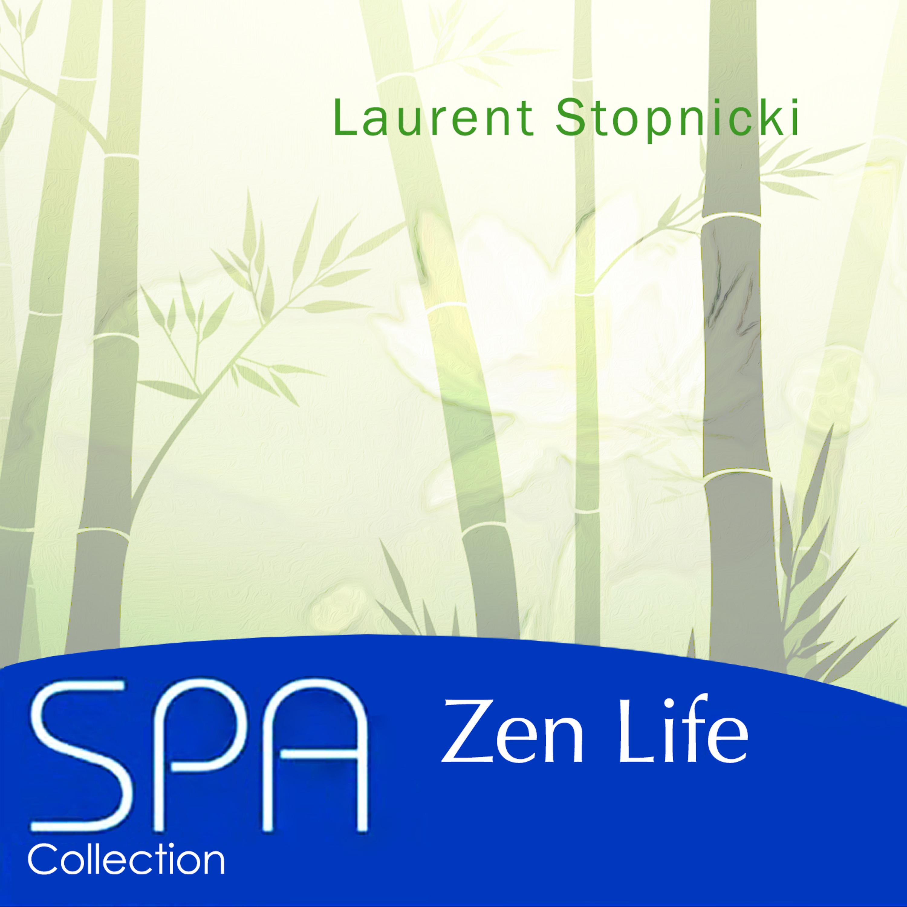 Постер альбома Collection Spa - Zen Life