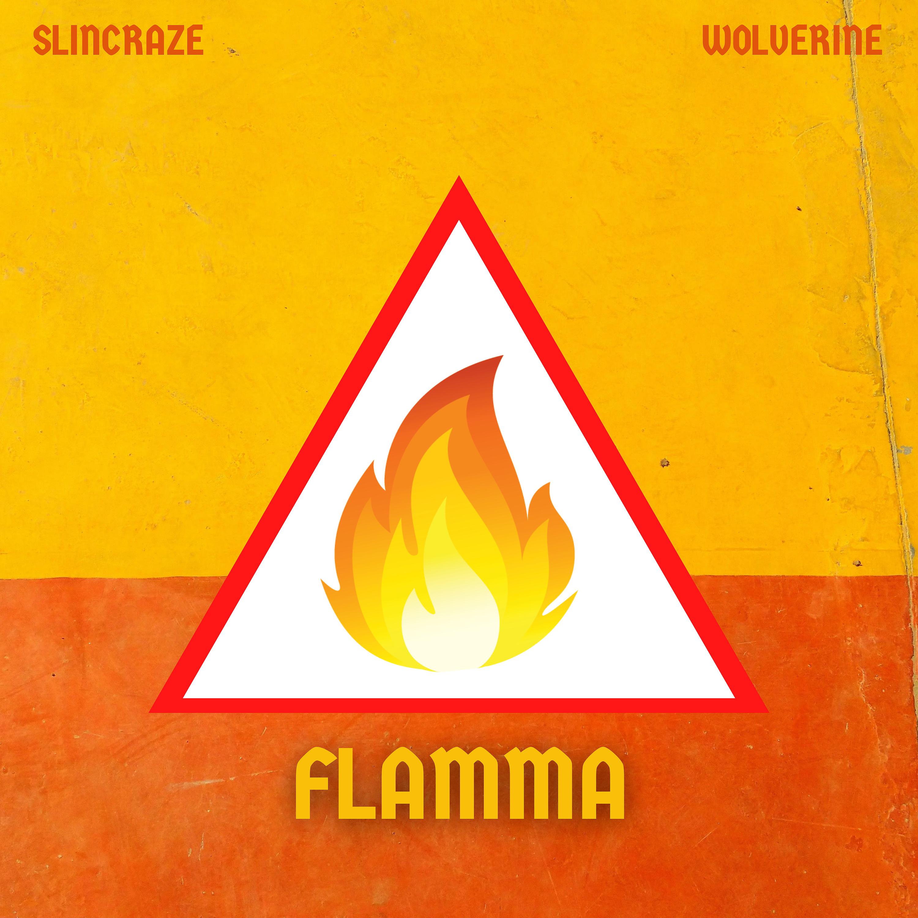 Постер альбома Flamma