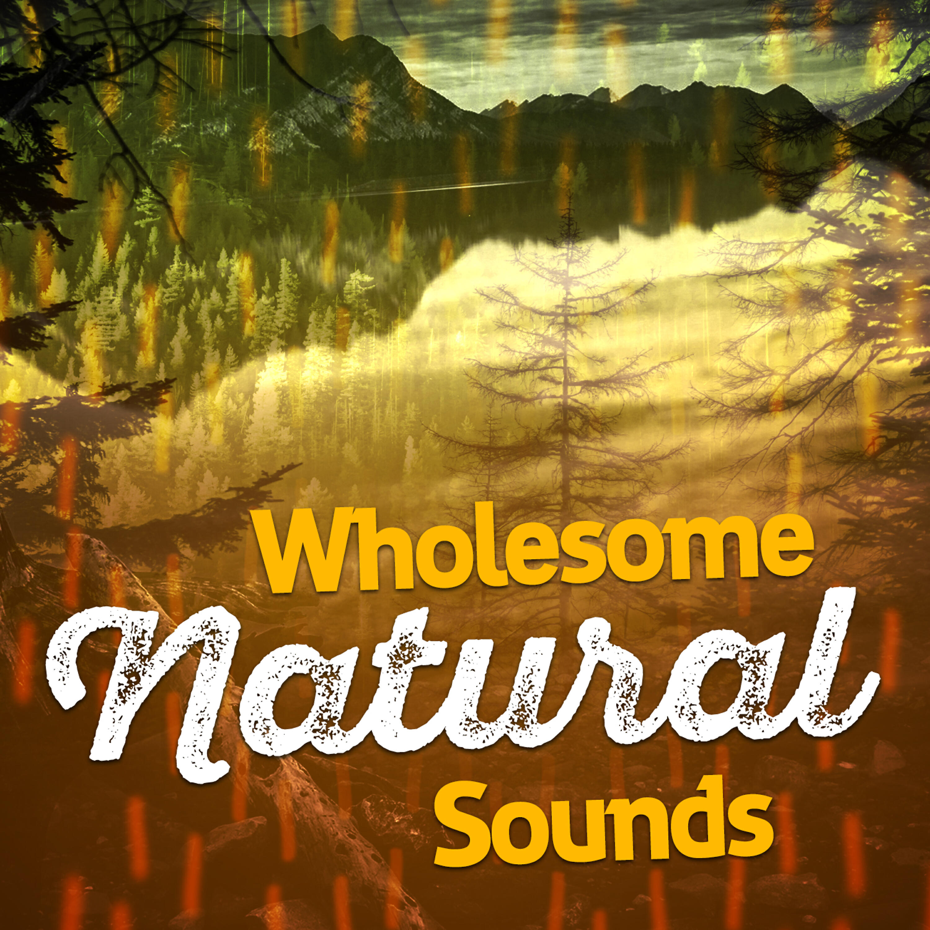 Nature Sounds Therapy - Streamside Life