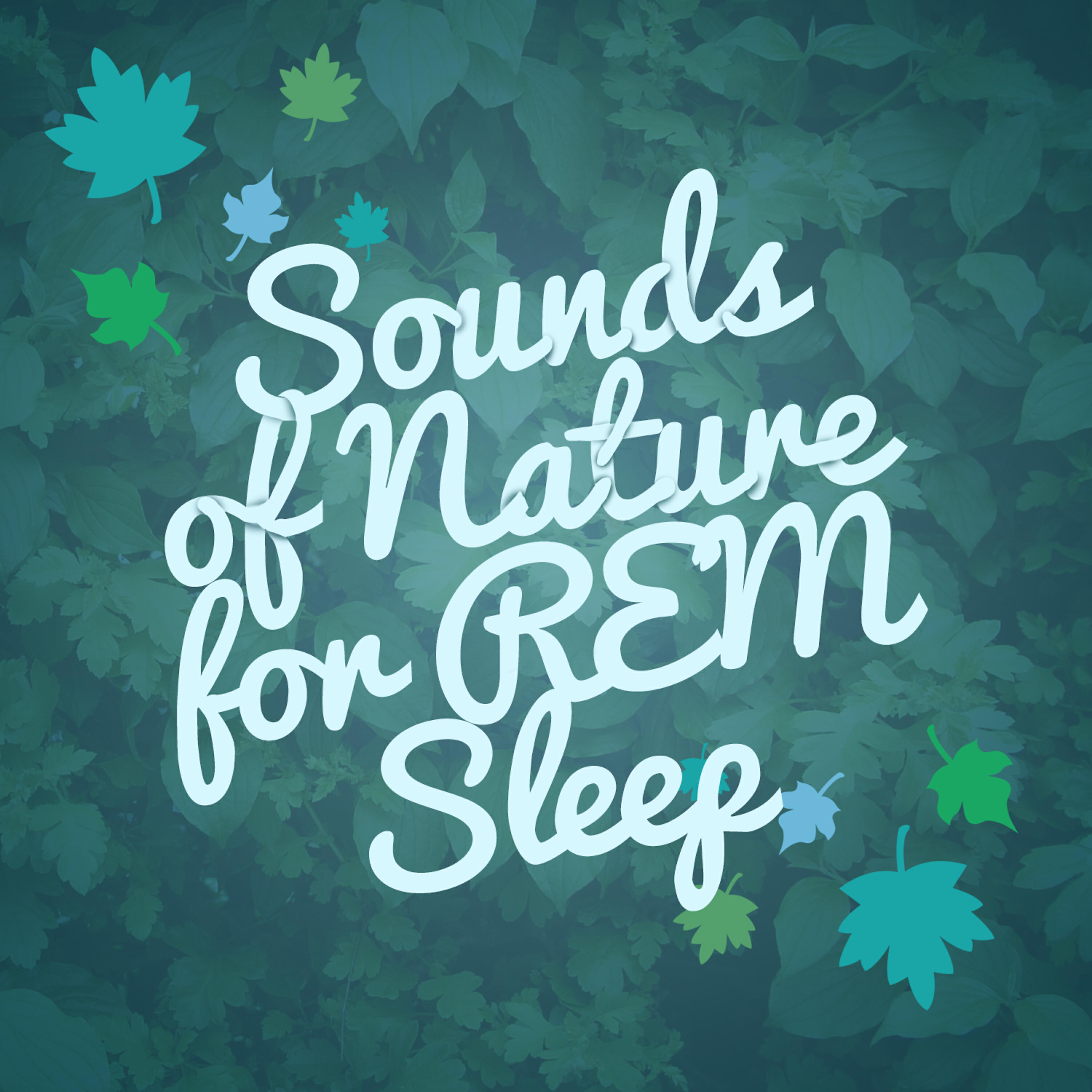 Dreams of Nature - Rural Birds