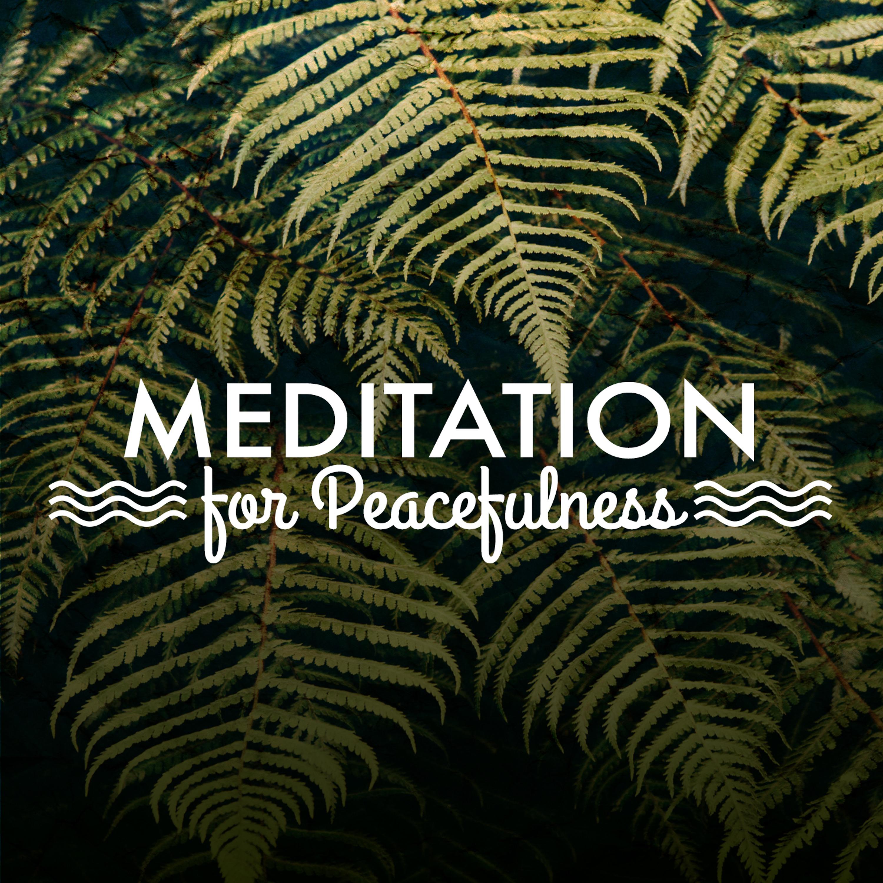 Постер альбома Meditation for Peacefulness