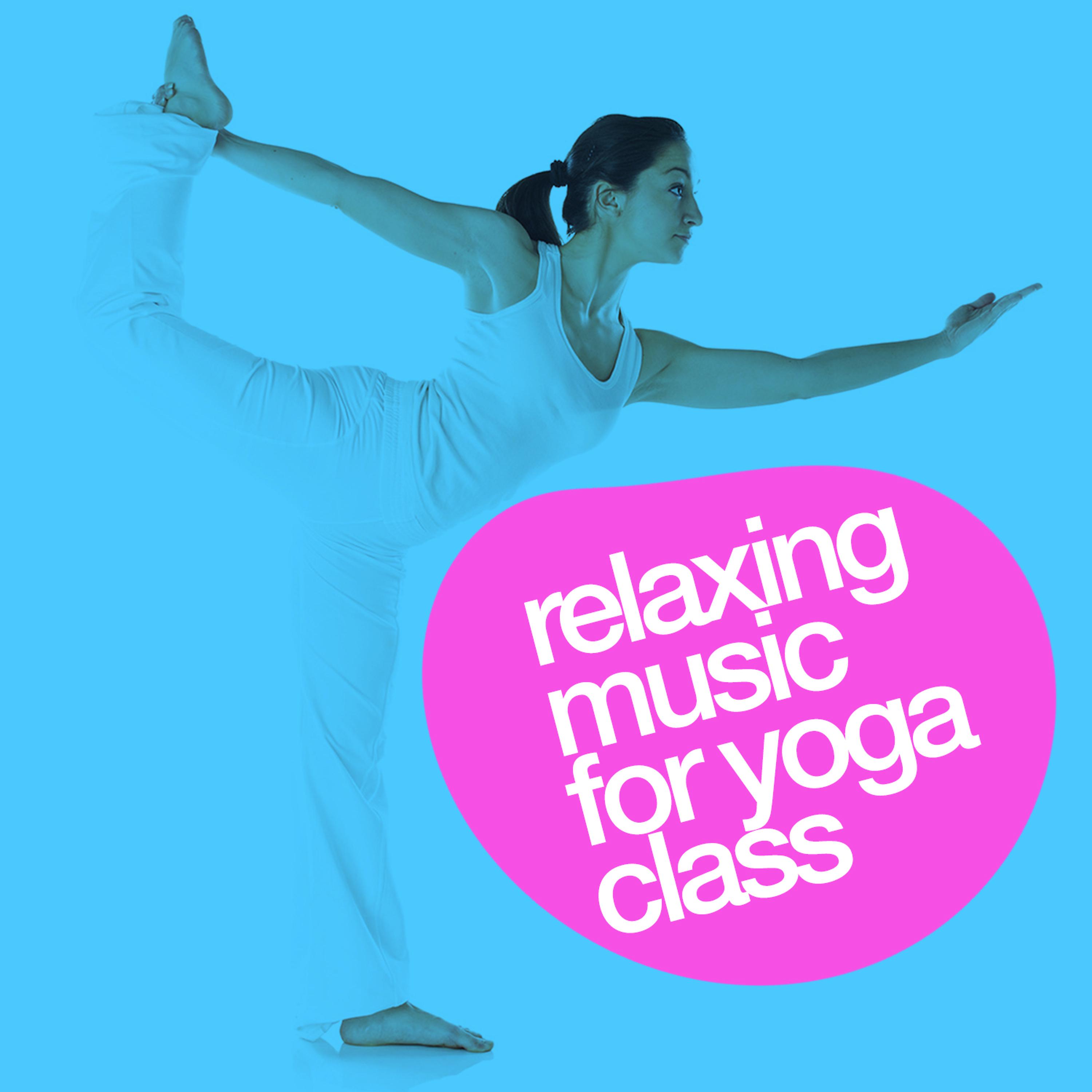 Постер альбома Relaxing Music for Yoga Class