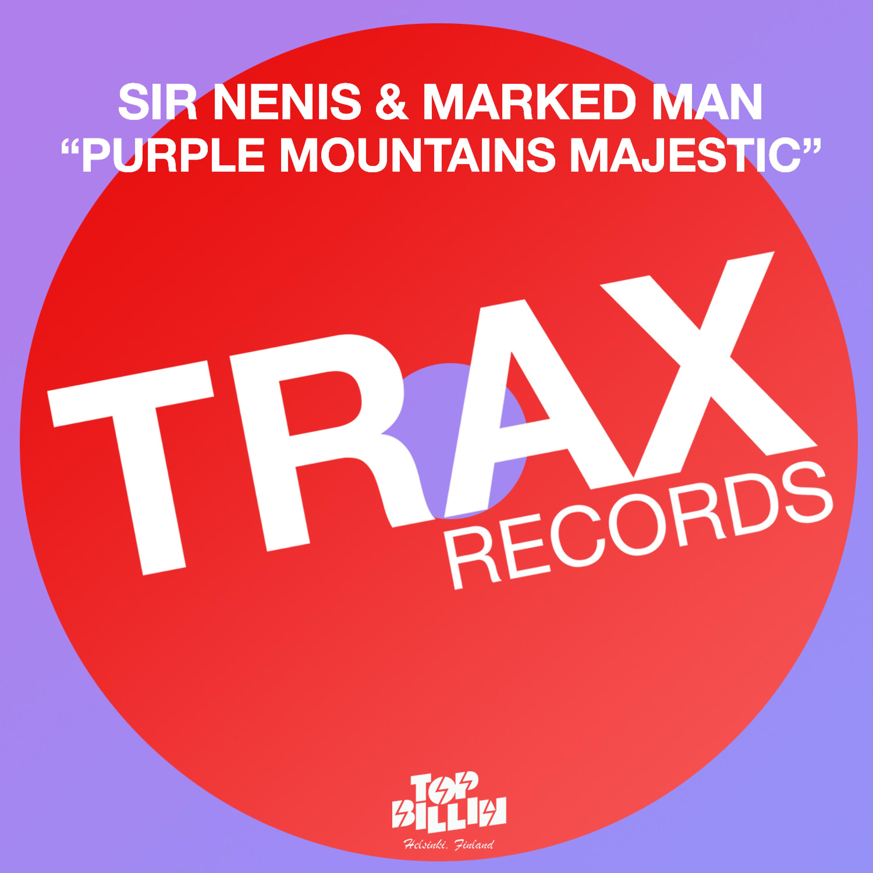 Постер альбома Purple Mountains Majestic