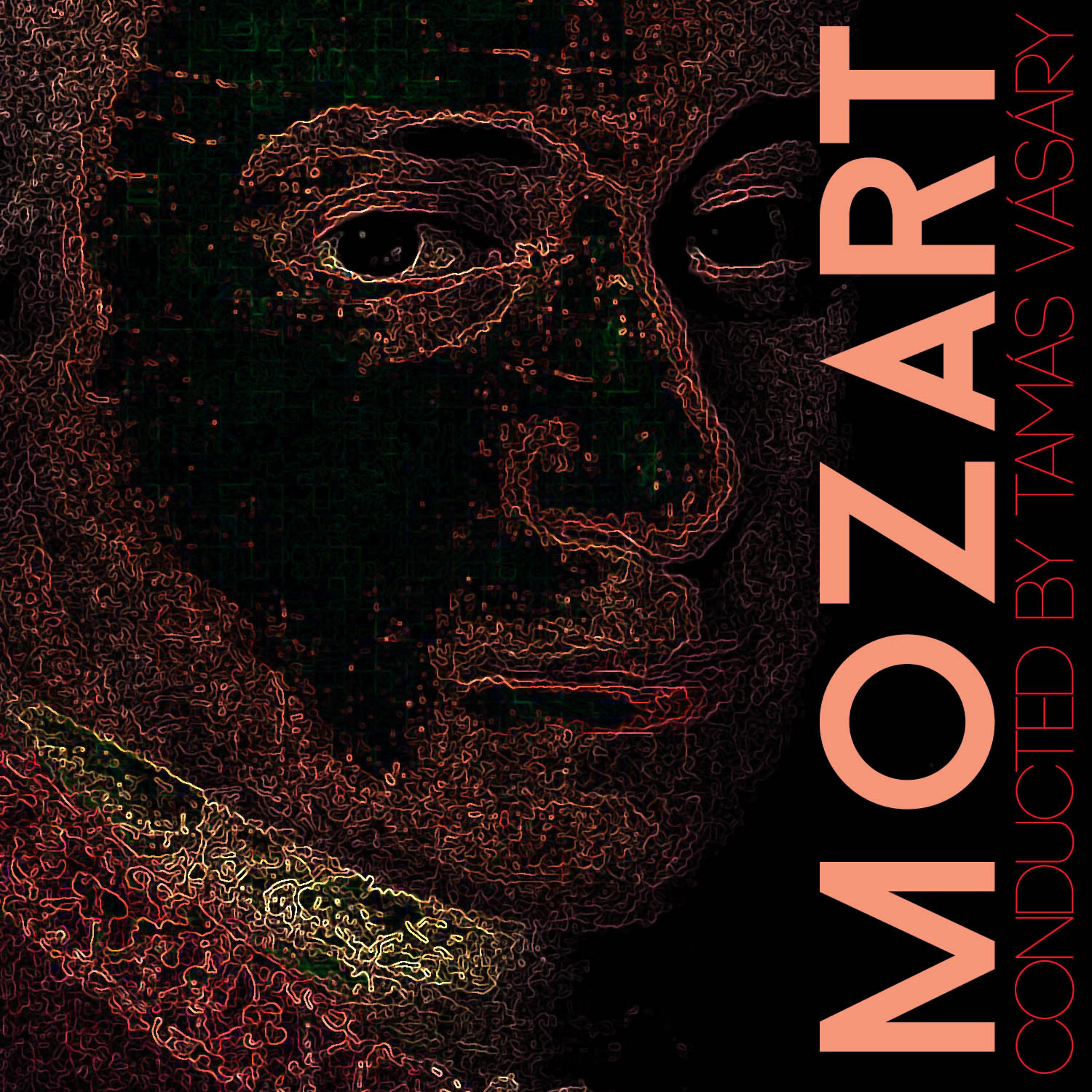 Постер альбома Mozart Conducted by Tamás Vásáry