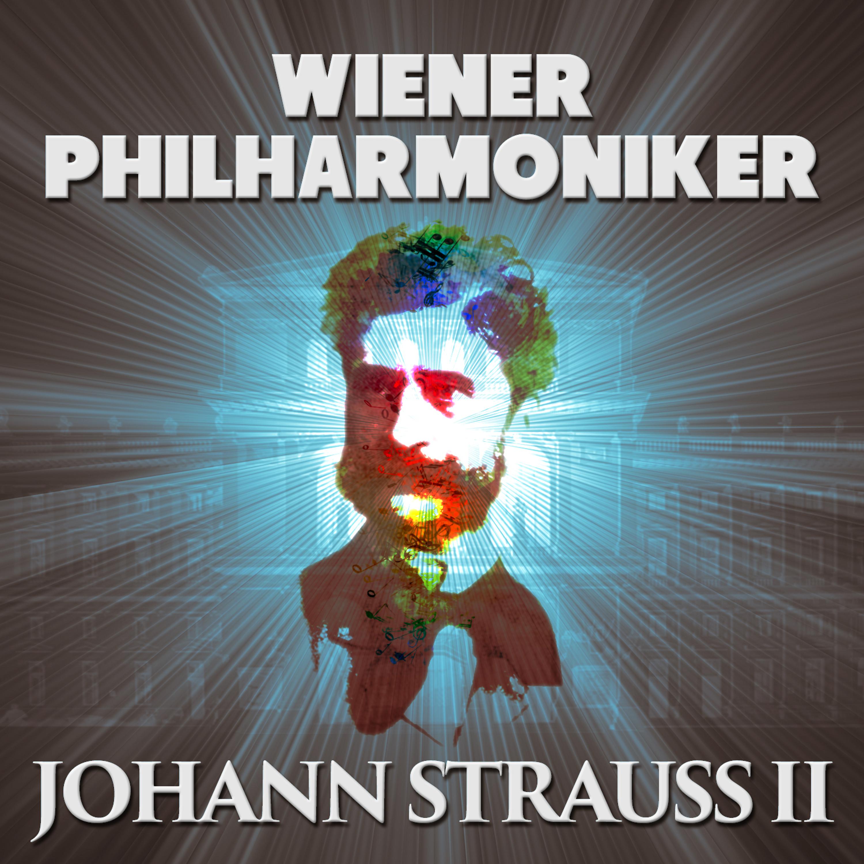 Постер альбома Wiener Philharmoniker: Johann Strauss II