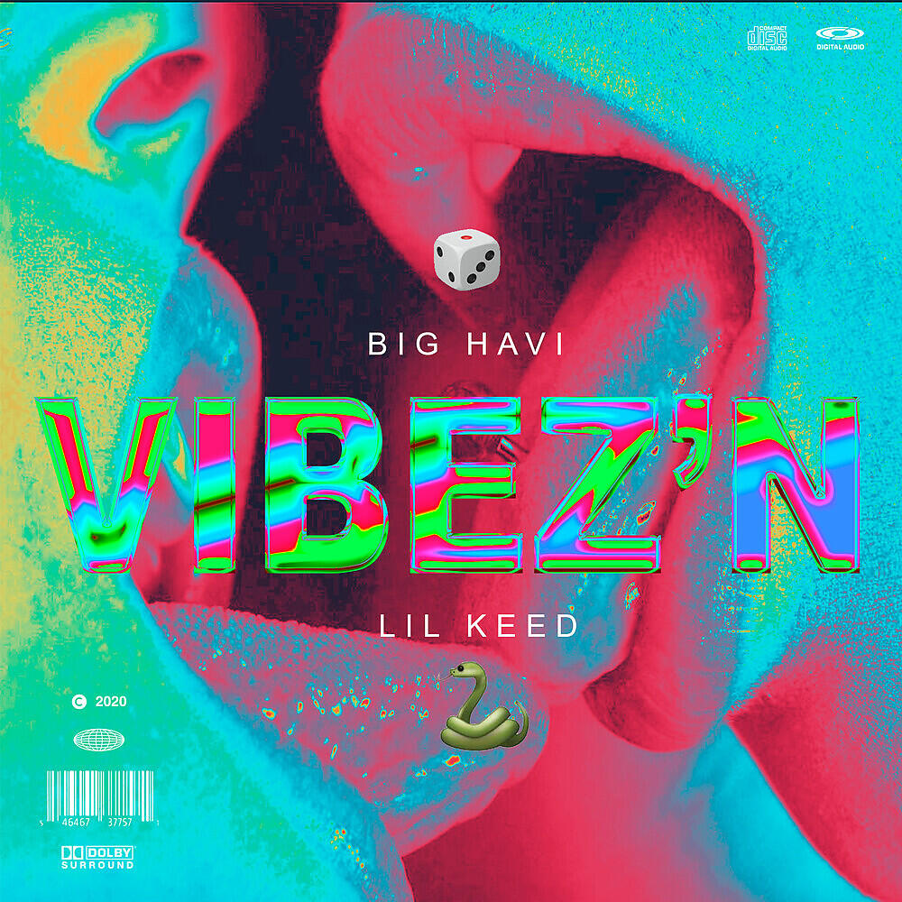 Big Havi - Vibez'N (feat. Lil Keed)