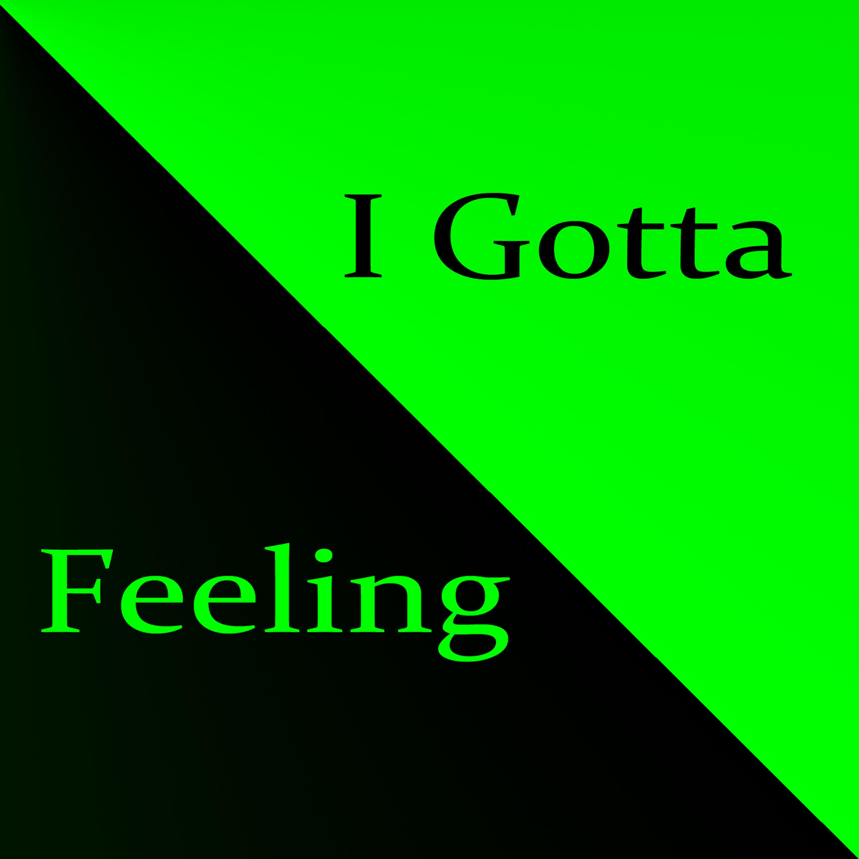 Постер альбома I Gotta Feeling (The Black Eyed Peas Tribute)