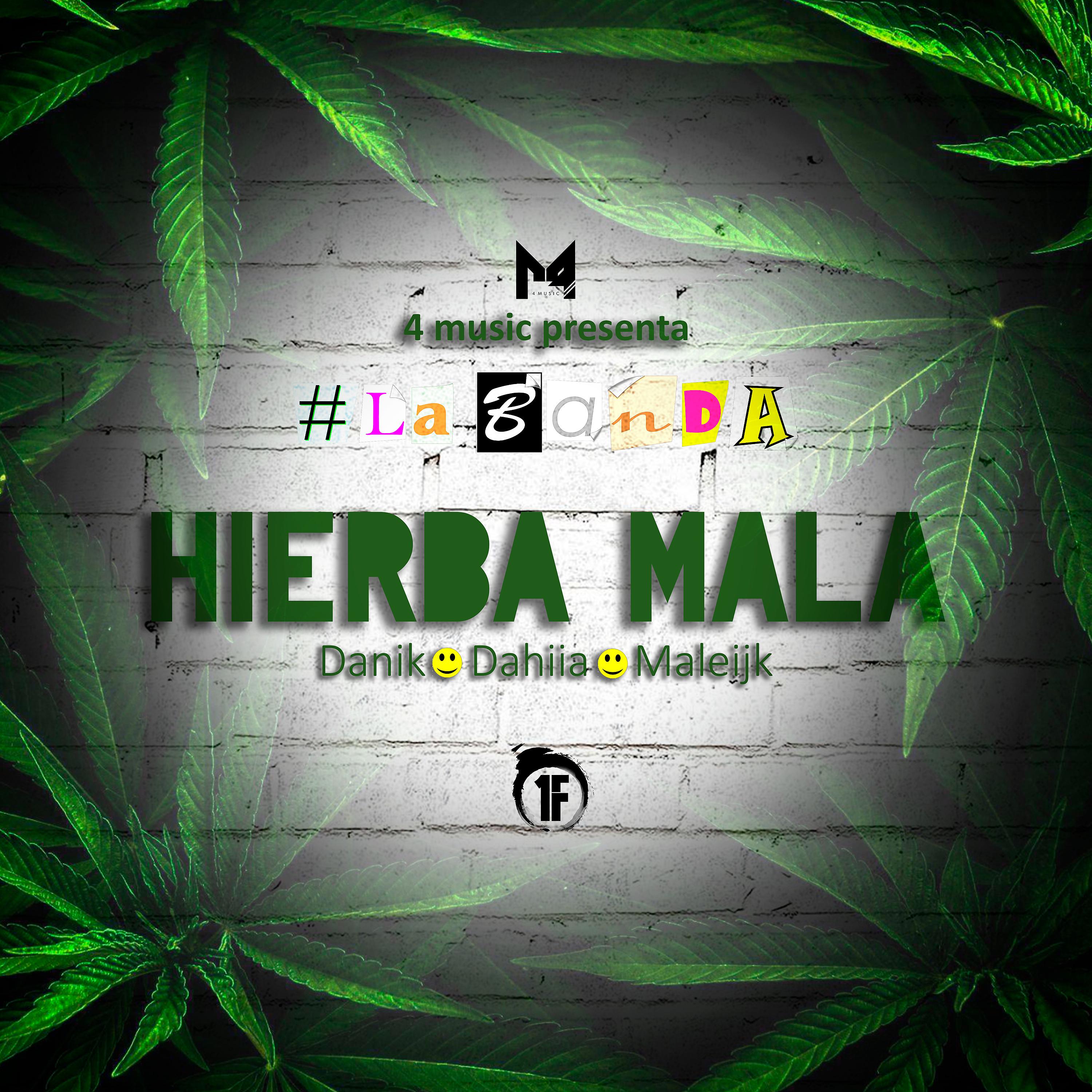 Постер альбома Hierba Mala