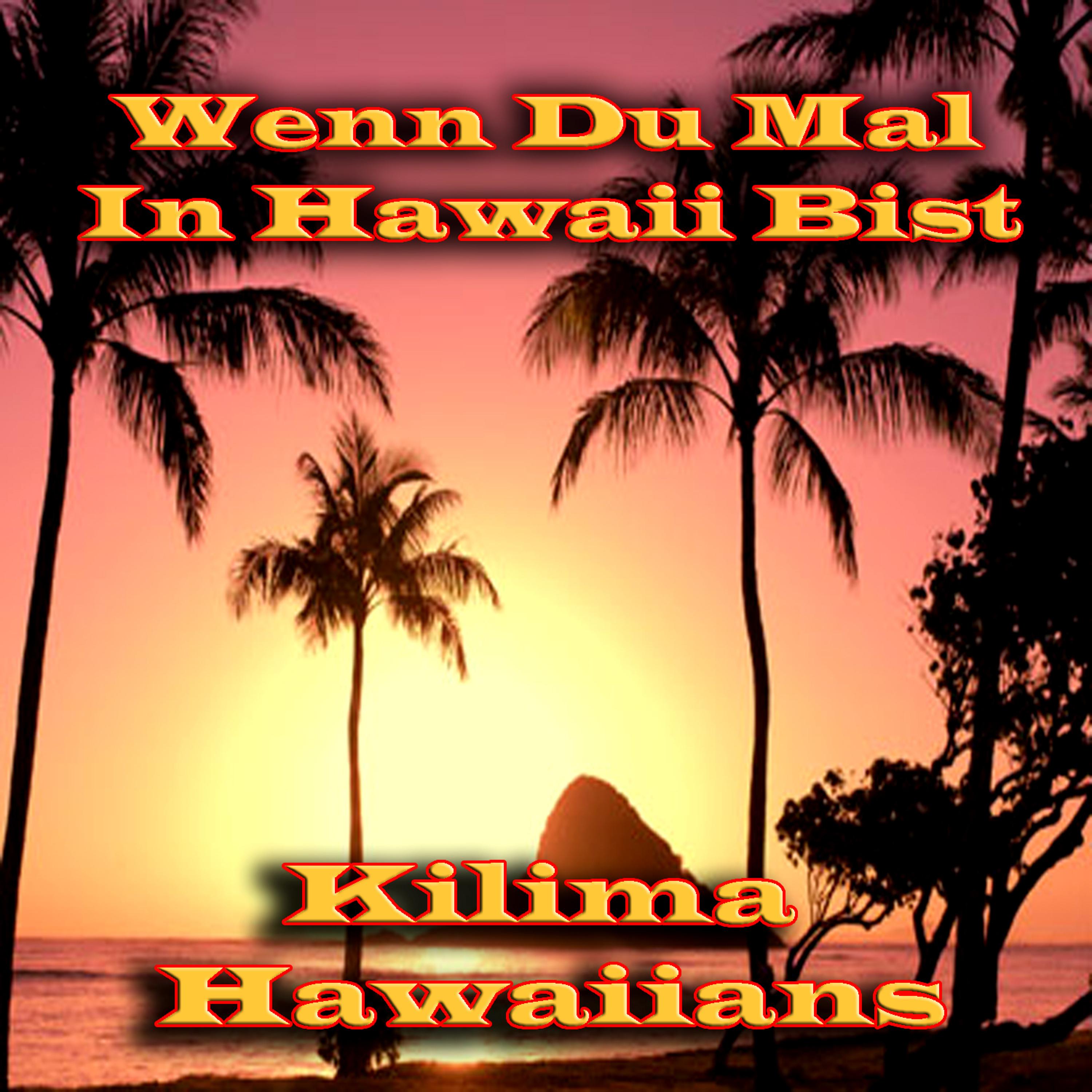 Постер альбома Wenn Du Mal In Hawaii Bist