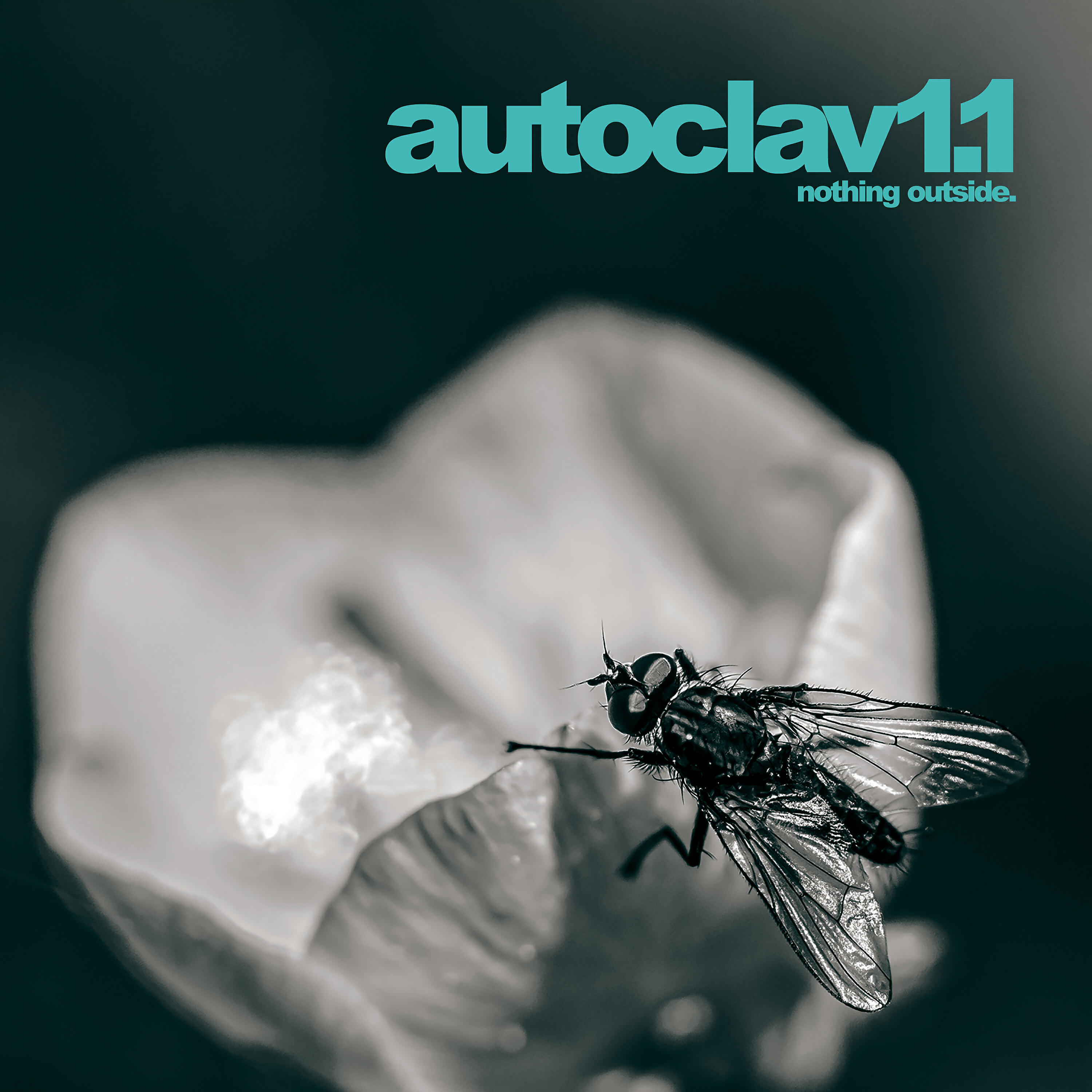 Autoclav1.1 - C17H19N3