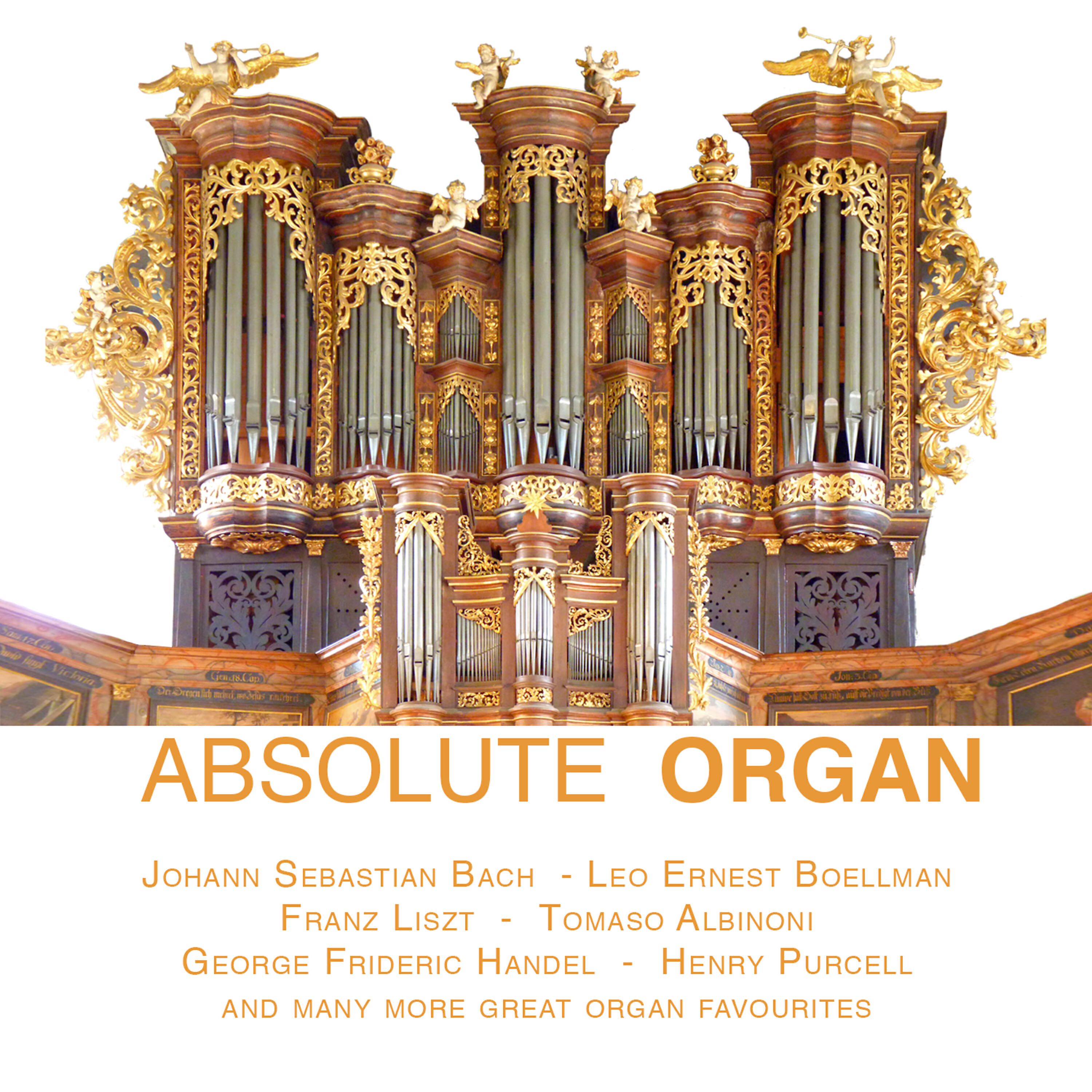 Paul Rayner-Brown - Toccata In D Minor (BWV 565)