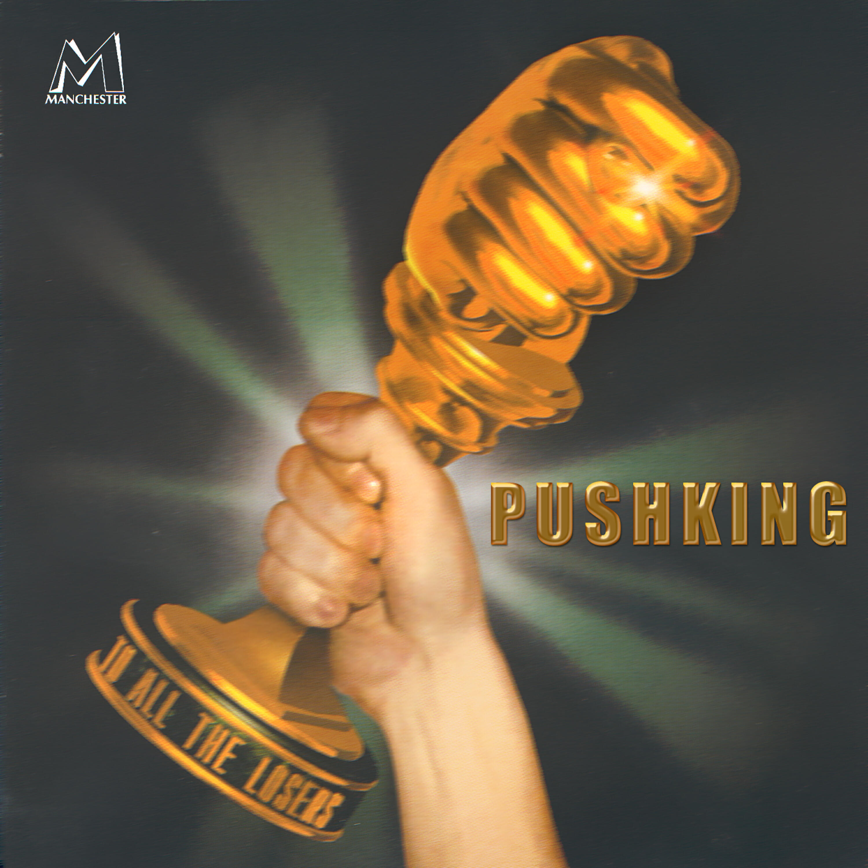 Pushking - Disillusion