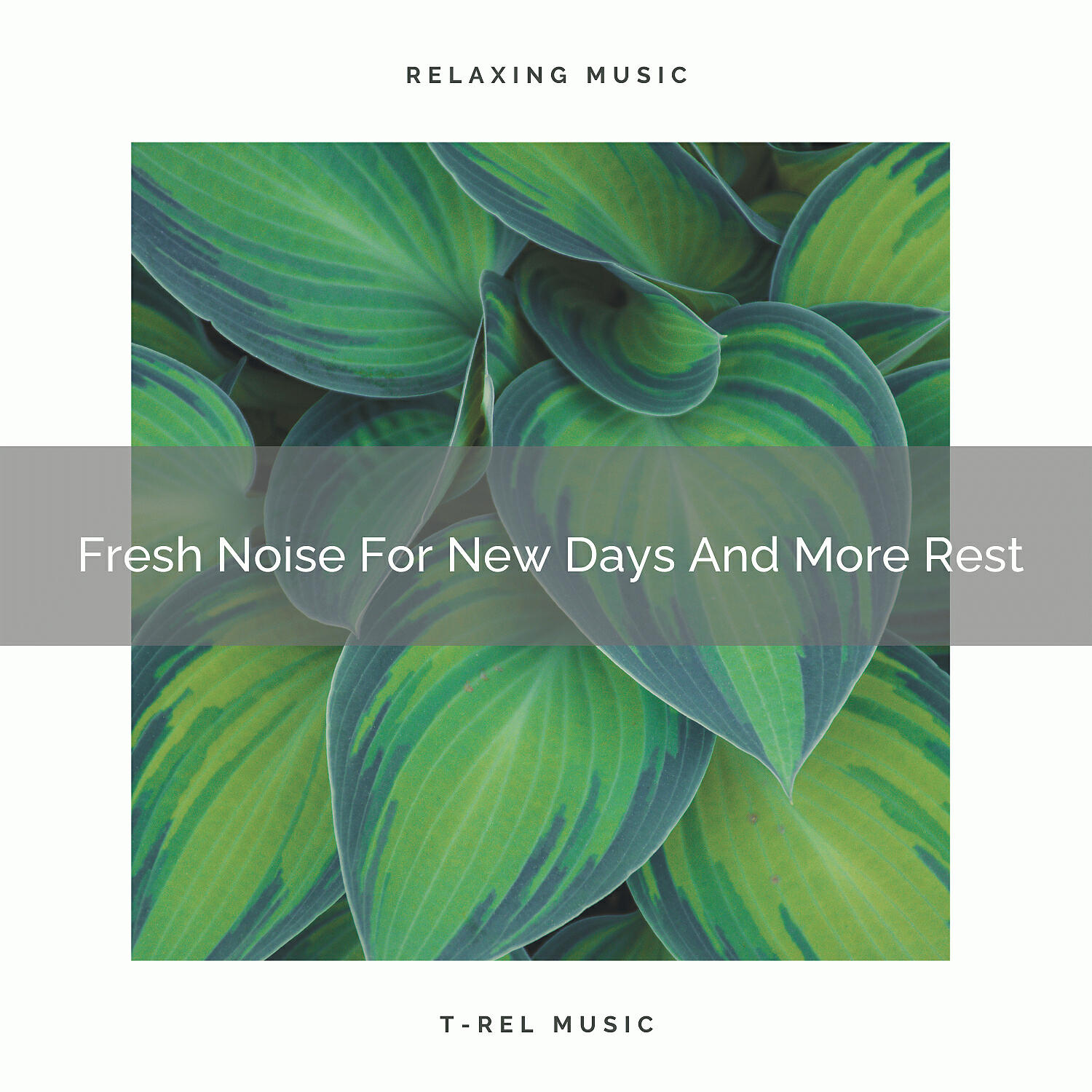 Brown Noise Therapy - Fresh Noise For New Days And Misty Skies