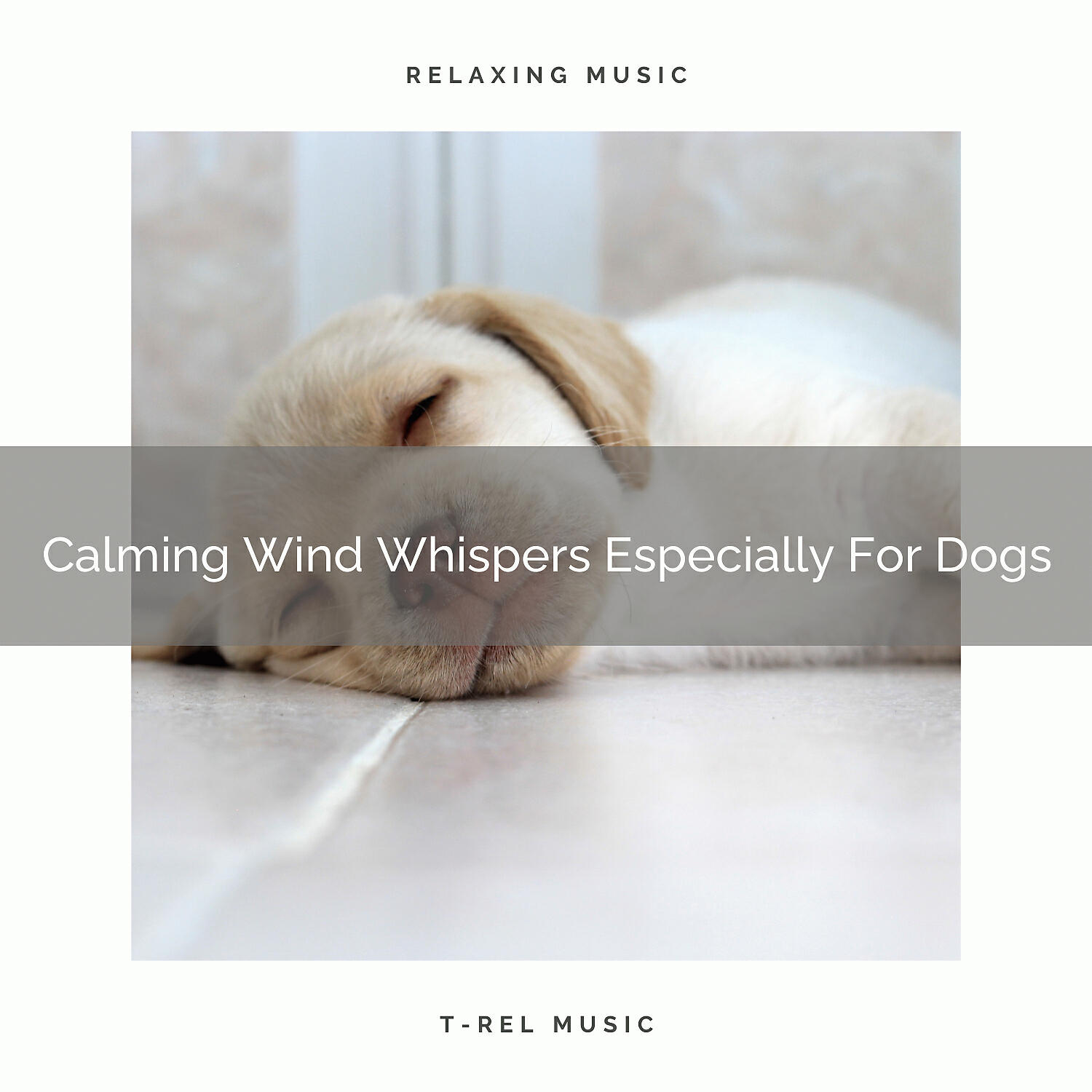 Dog Total Relax - Total Sea Whispers Especially For Household Dogs