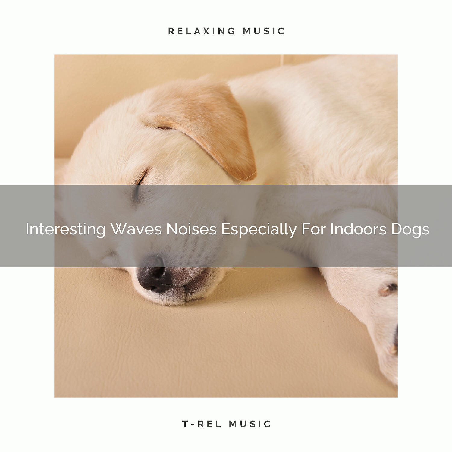 Dog Relax - Waves Songs For Dogs