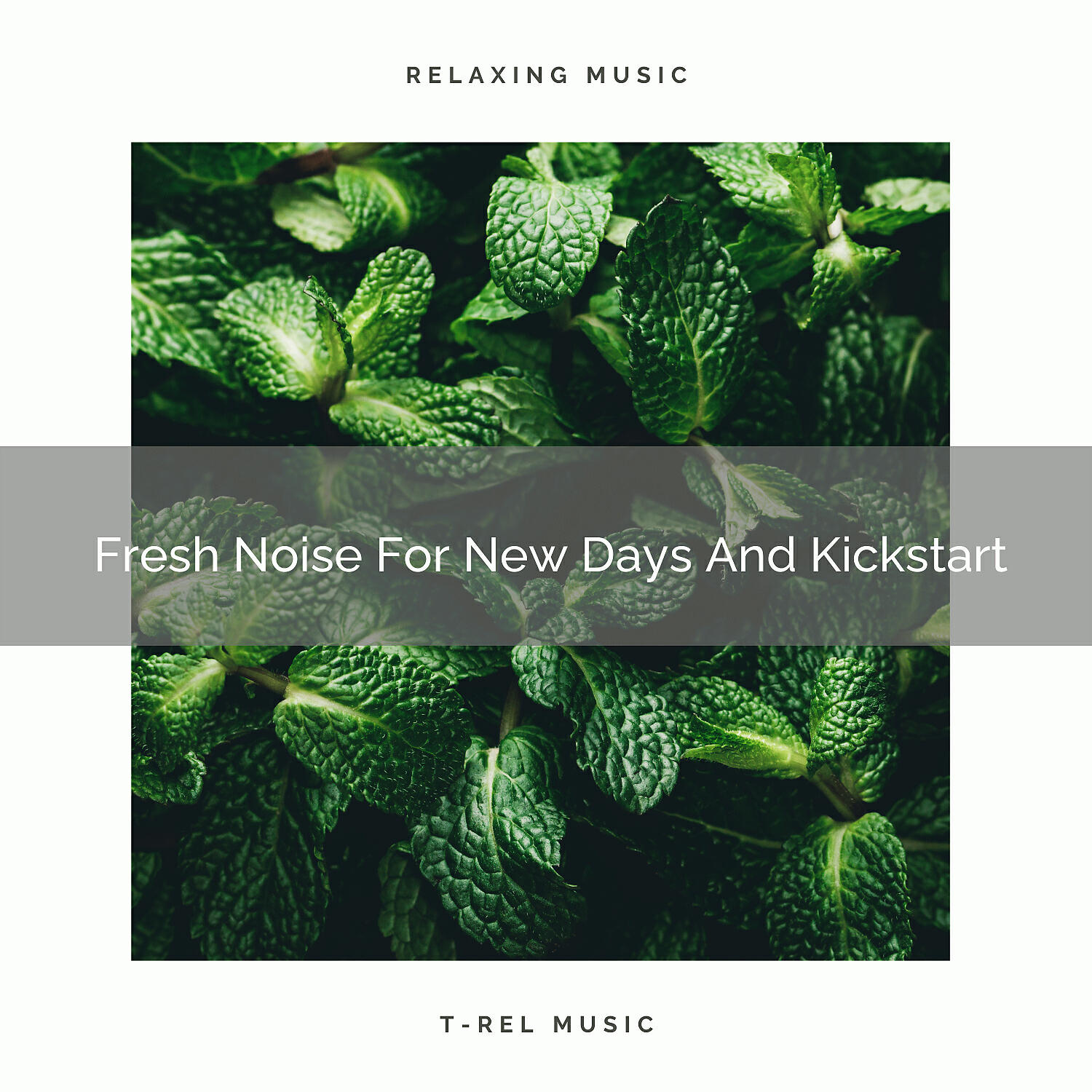 Sleep - Fresh Noise For New Days And Soft Bed