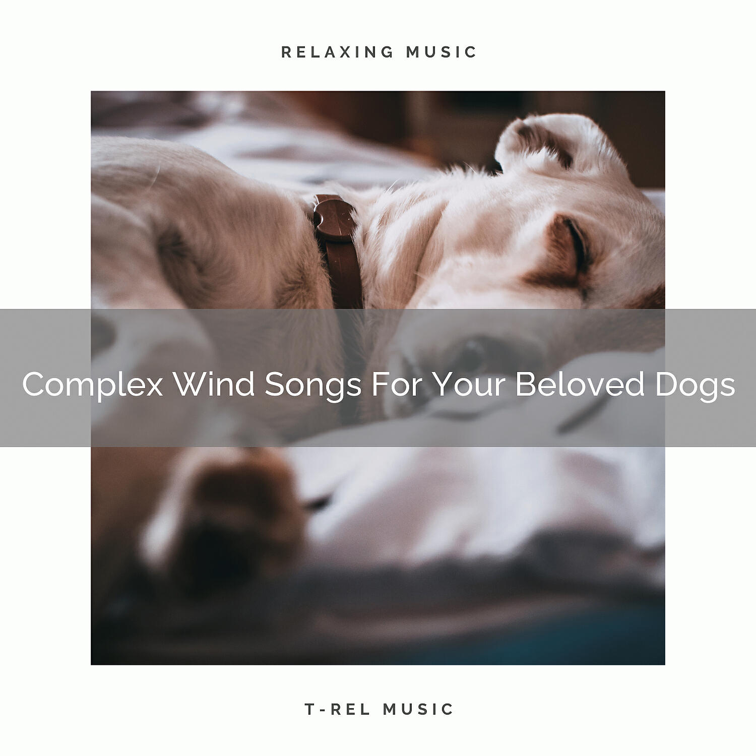 Pets Total Relax - Relaxing Sea Noises Especially For Your Beloved Dogs
