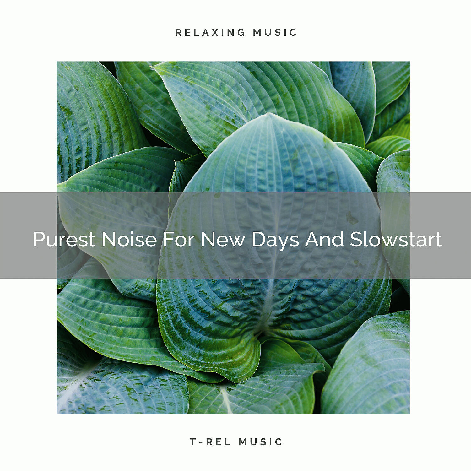 Pure Deep Sleep White Noise - Purest Noise For New Days And Slowstart