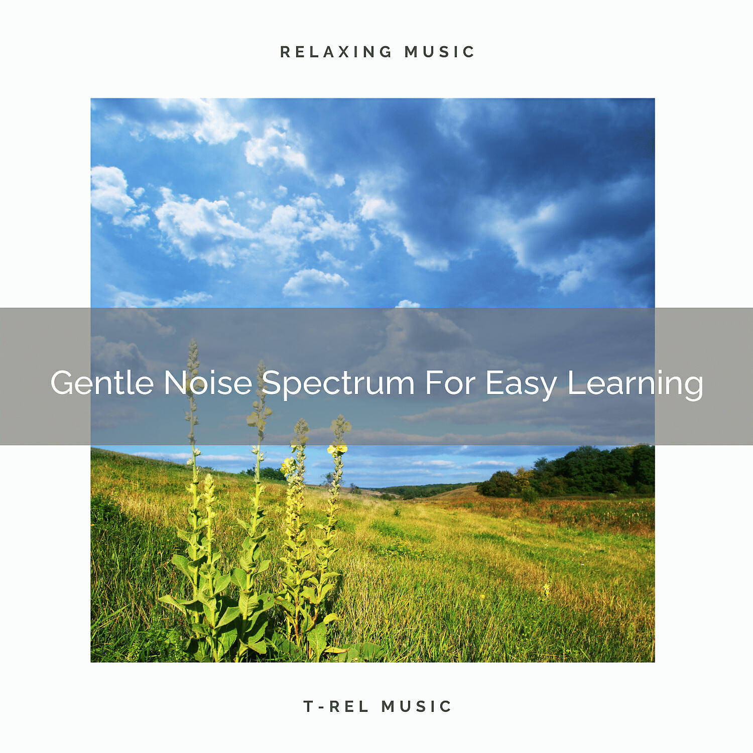 Fans - Violet Noise Spectrum For Easy Learning
