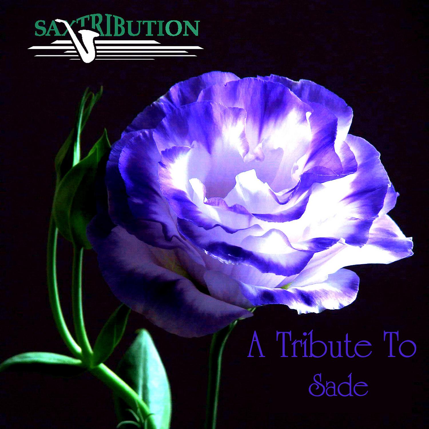 Постер альбома A Tribute To Sade
